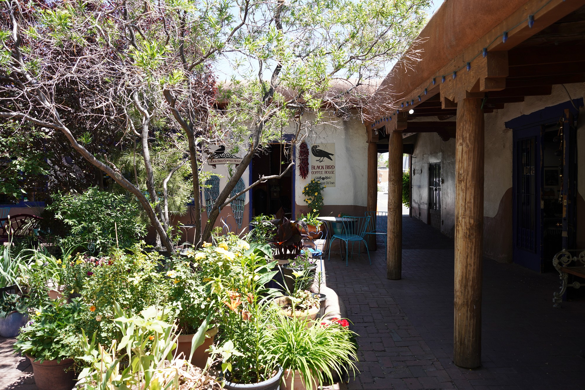 Albuquerque Old Town (22)