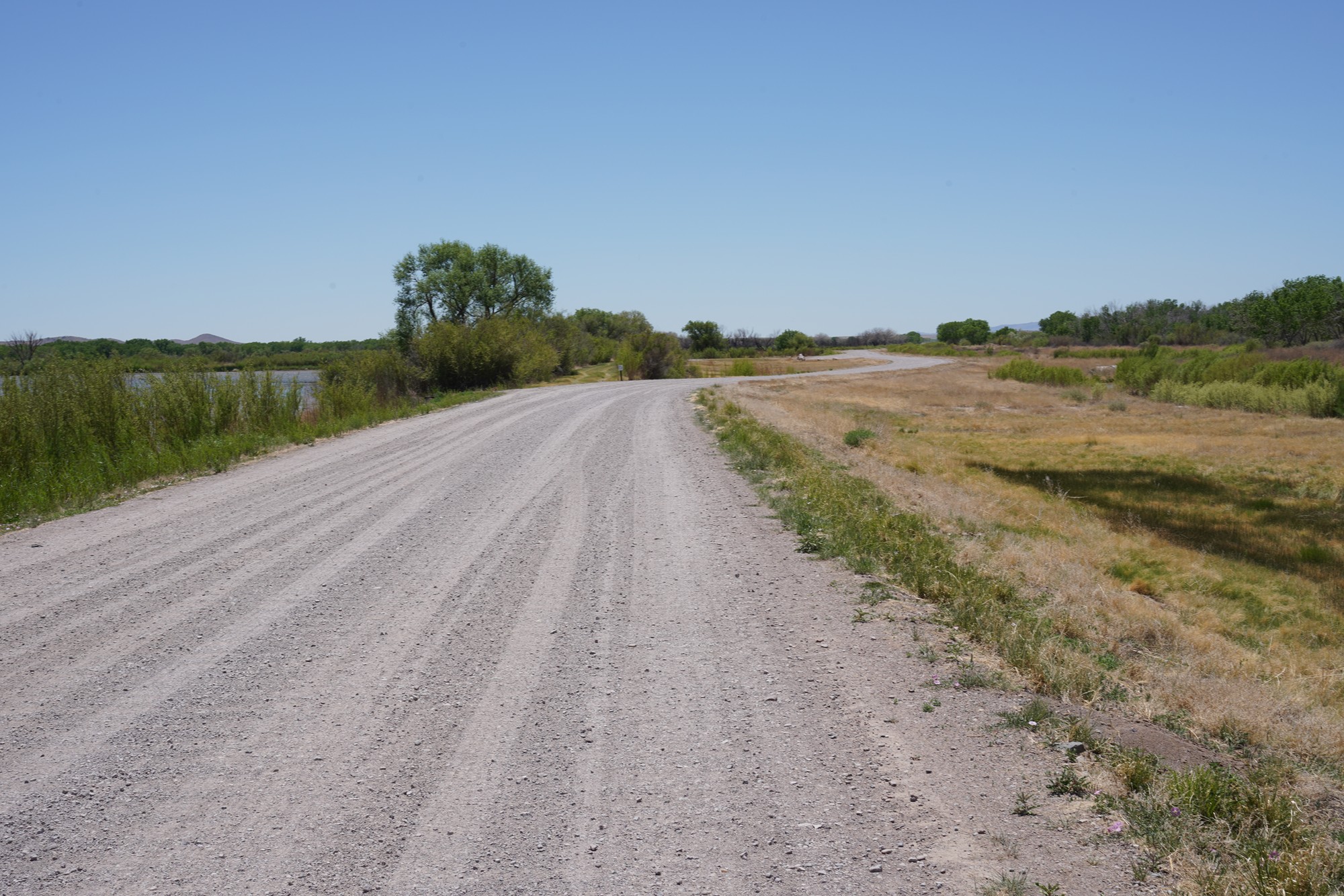 Bosque Del Apache National Wildlife Refuge (2)
