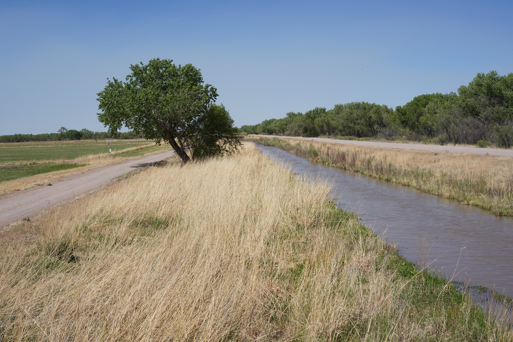 Bosque Del Apache National Wildlife Refuge (21)