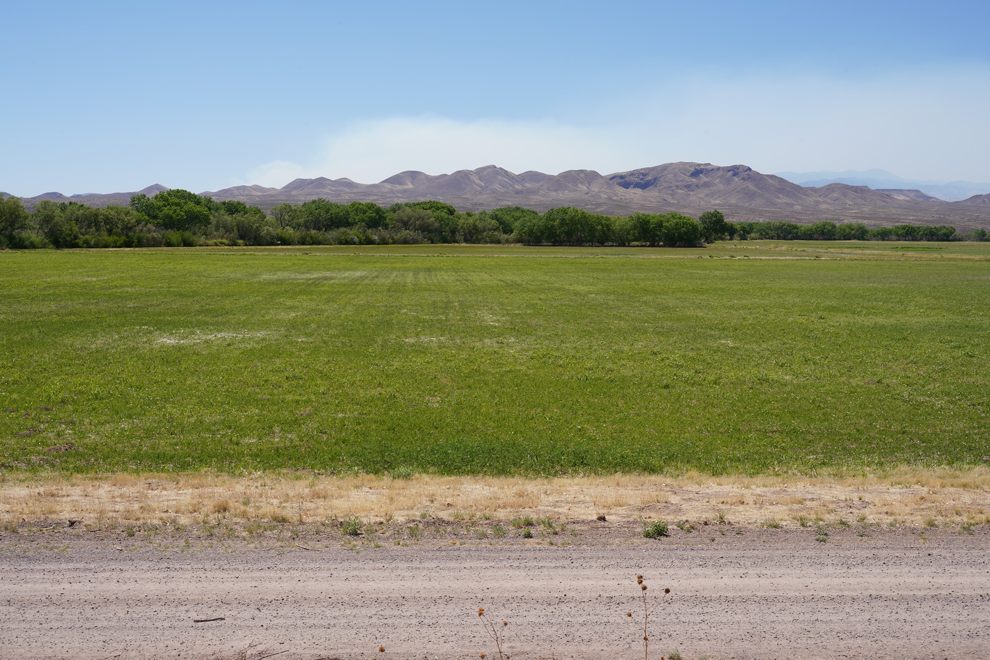 Bosque Del Apache National Wildlife Refuge (22)