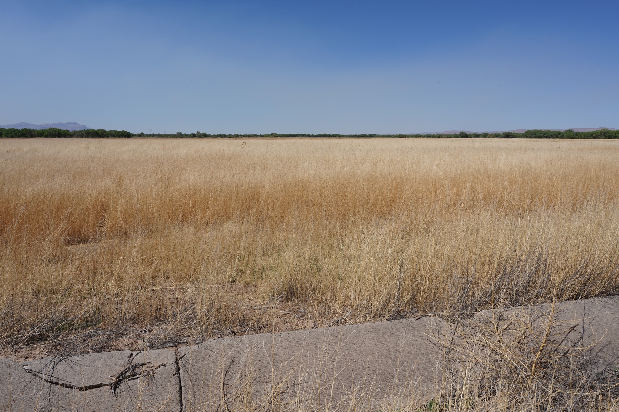 Bosque Del Apache National Wildlife Refuge (23)