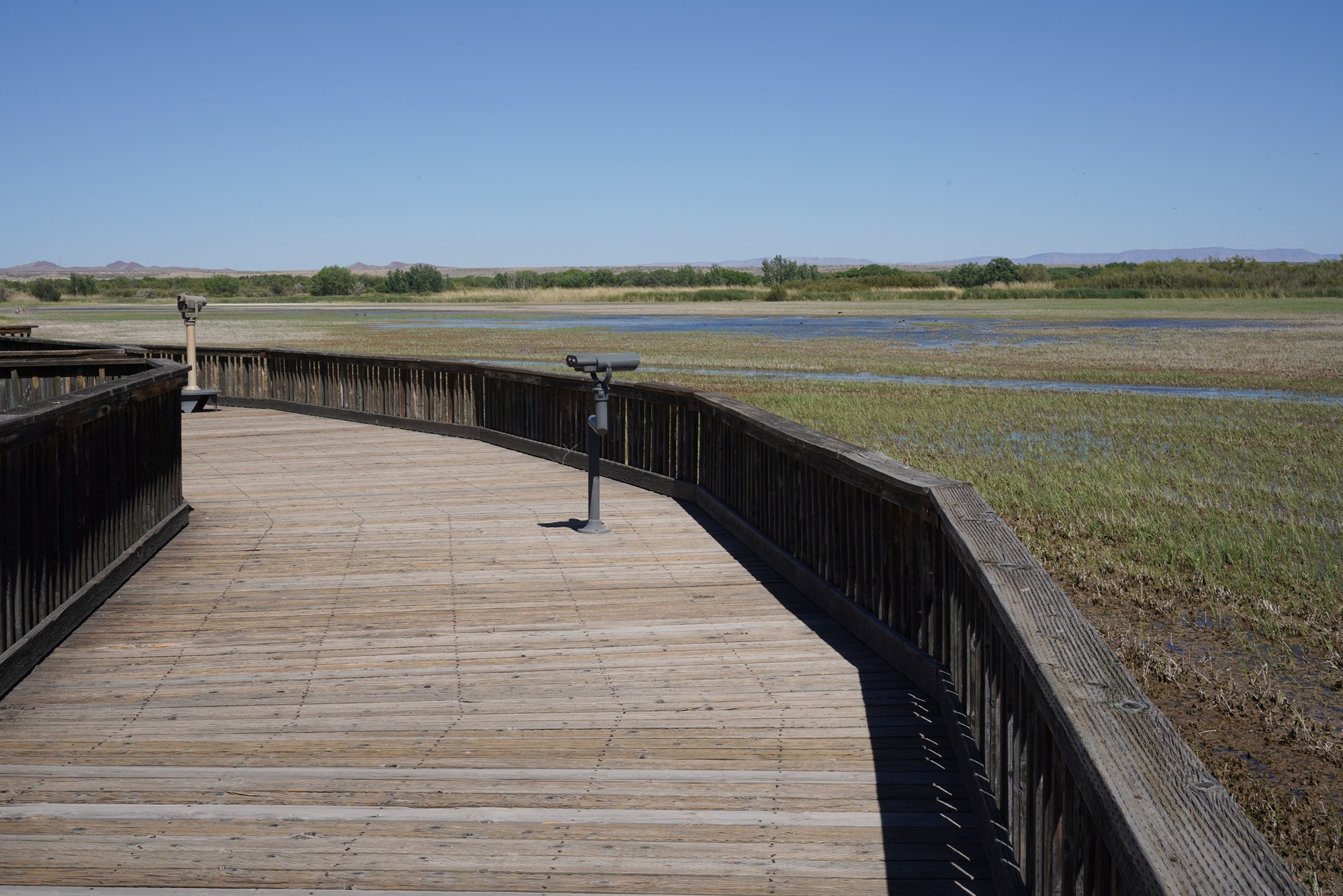 Bosque Del Apache National Wildlife Refuge (25)