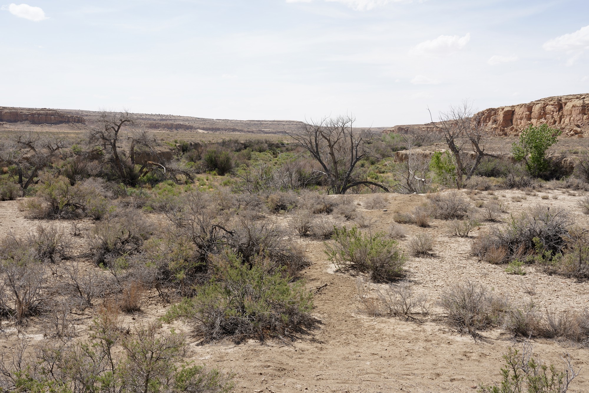 Chaco Canyon (63)