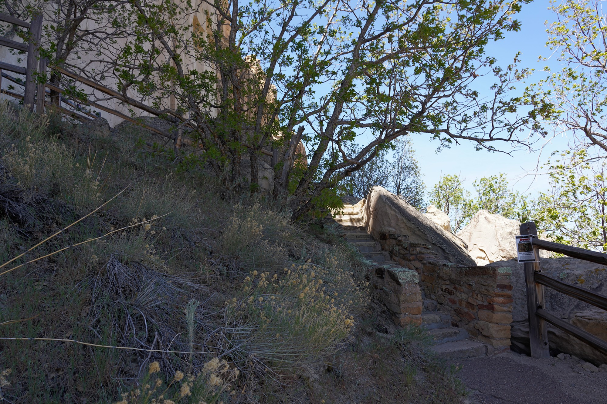 El Morro National Monument (17)