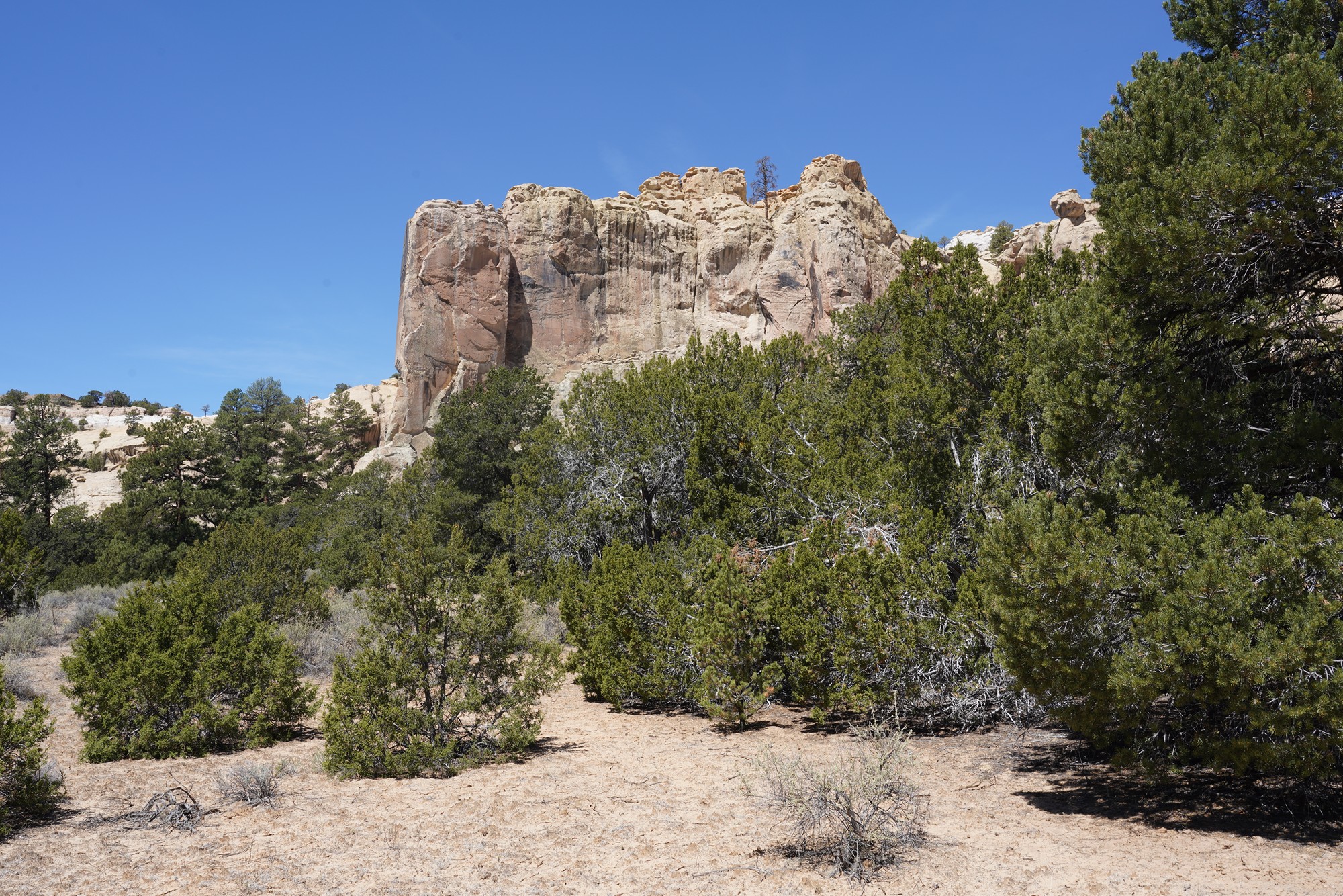 El Morro National Monument (3)