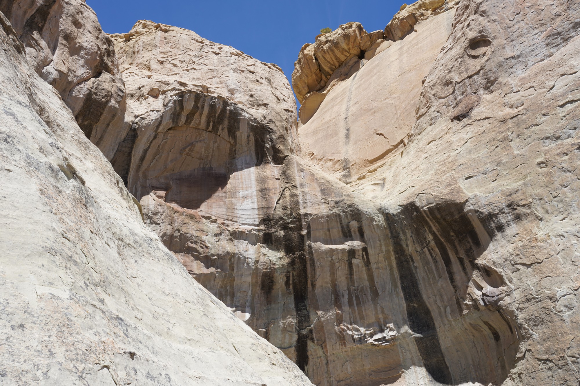 El Morro National Monument (7)