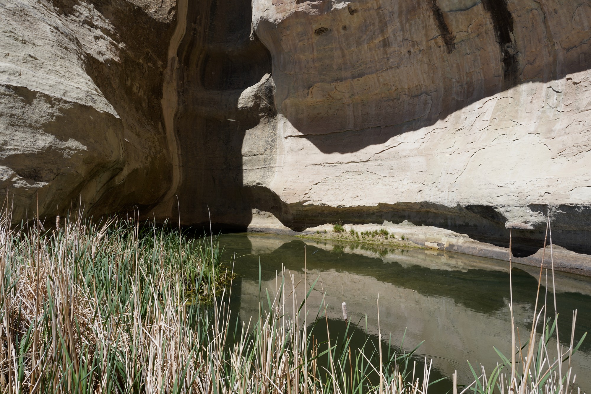 El Morro National Monument (9)