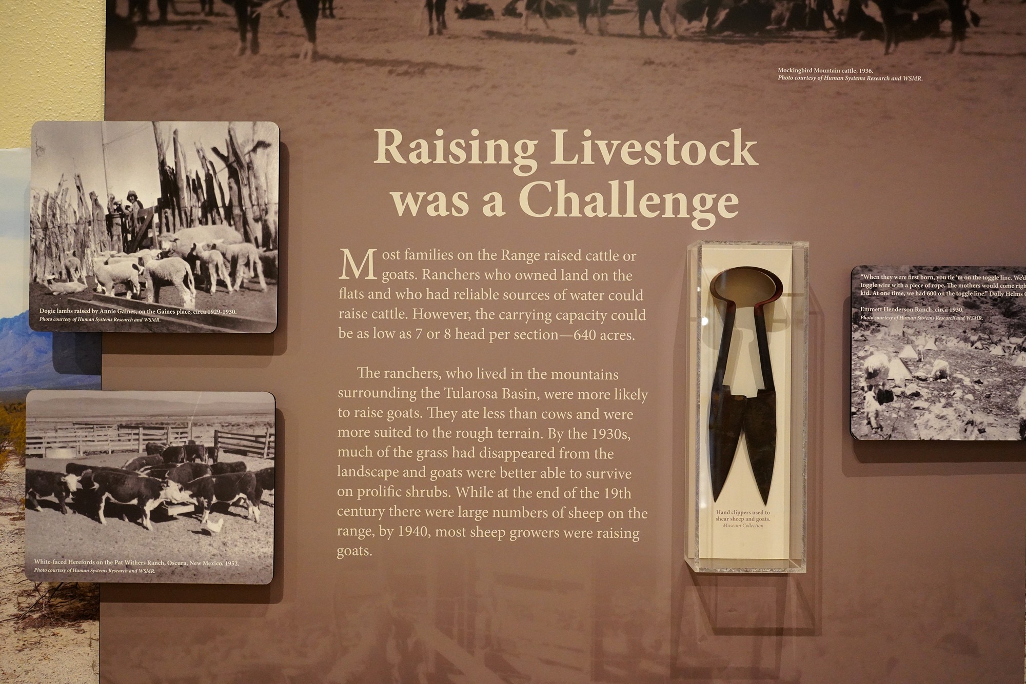 New Mexico Farm and Ranch Heritage Museum (14)
