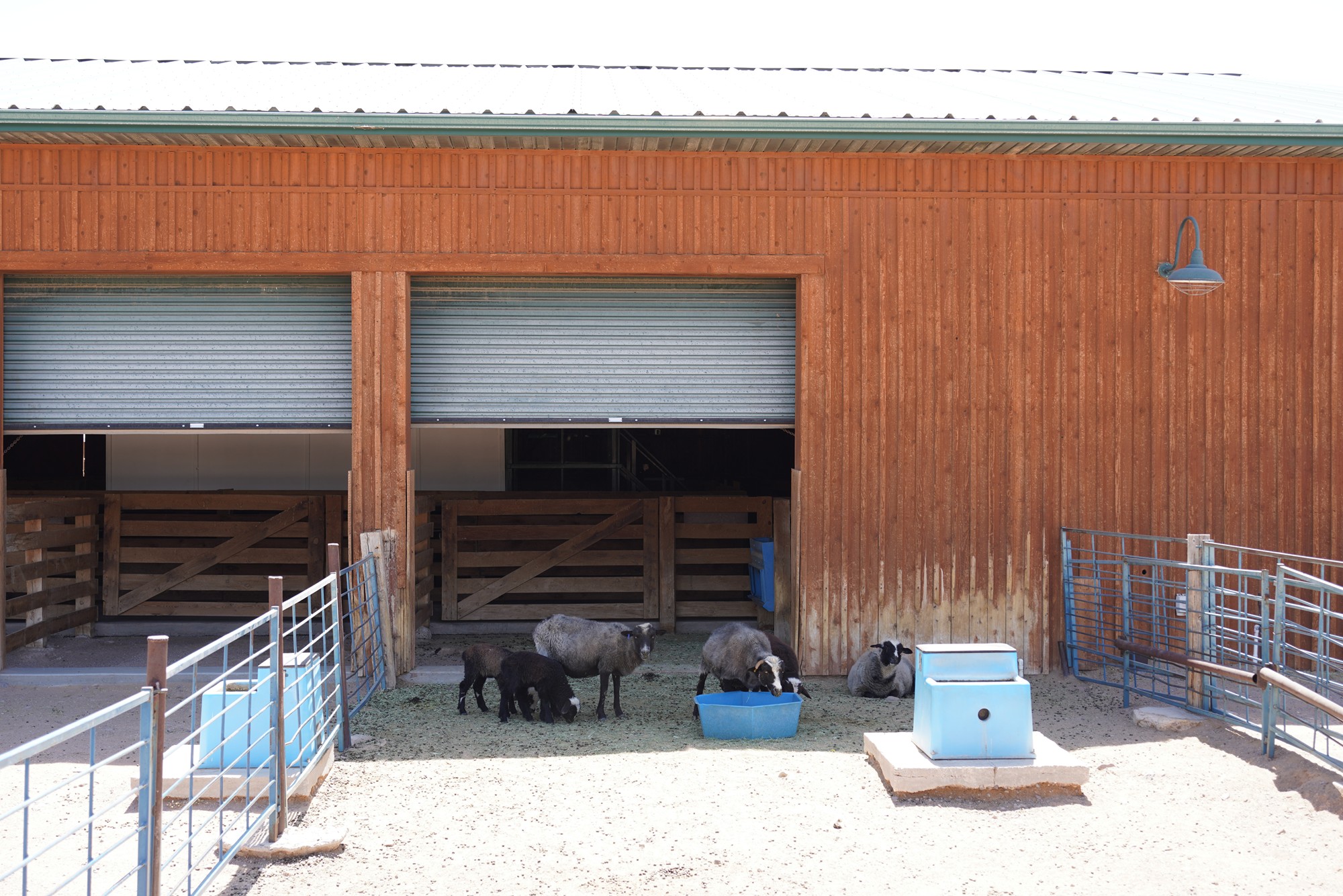 New Mexico Farm and Ranch Heritage Museum (37)