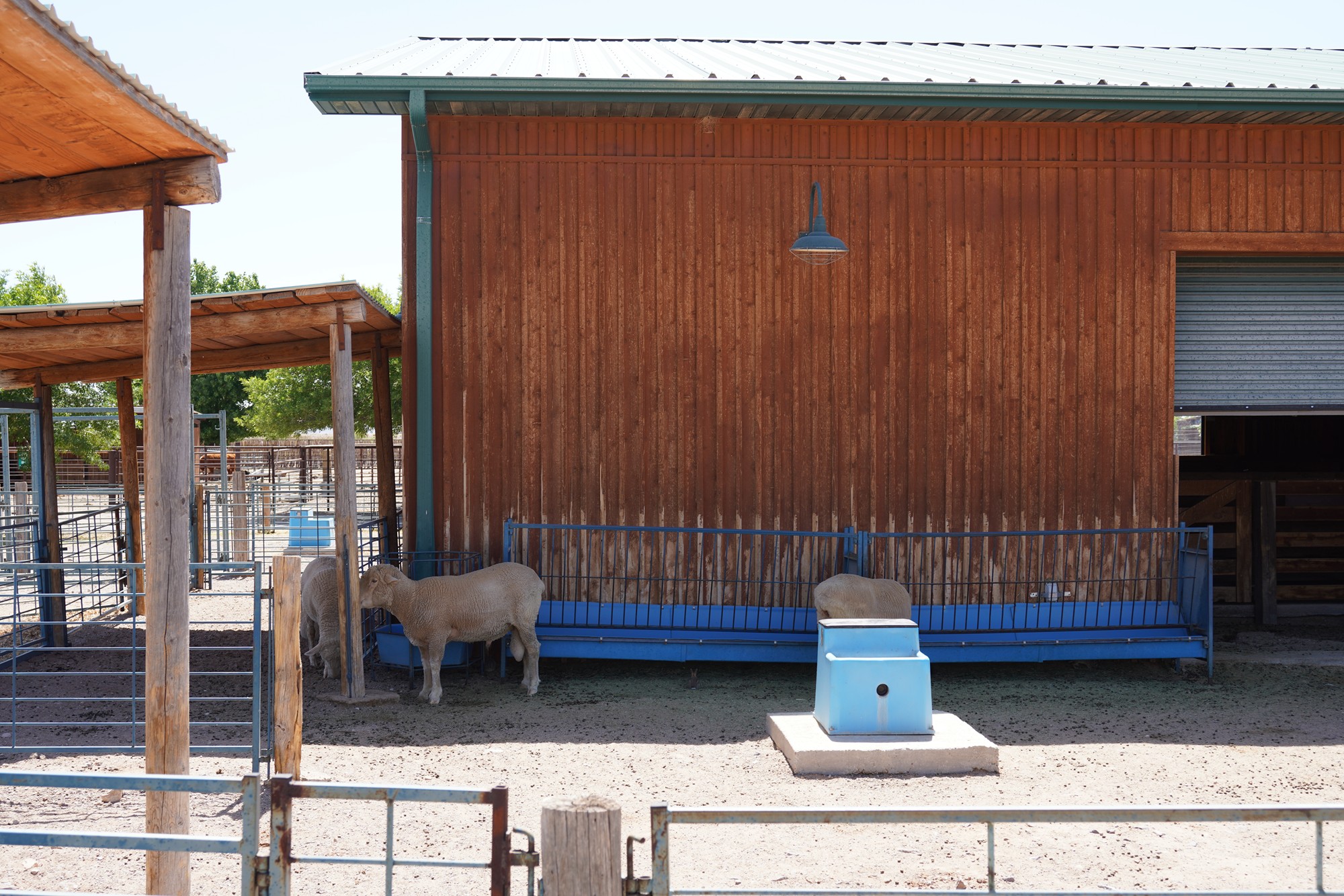 New Mexico Farm and Ranch Heritage Museum (38)