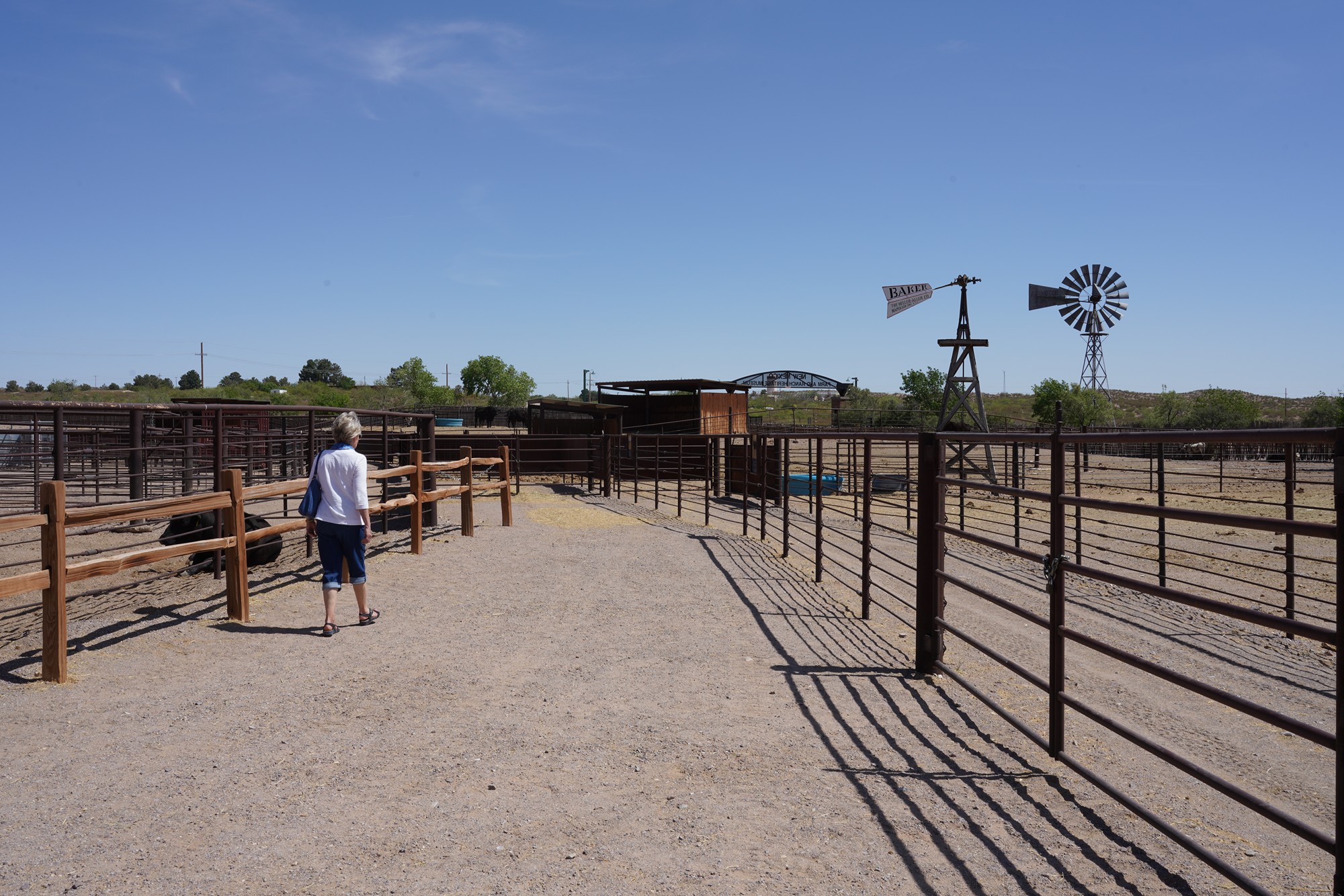 New Mexico Farm and Ranch Heritage Museum (41)