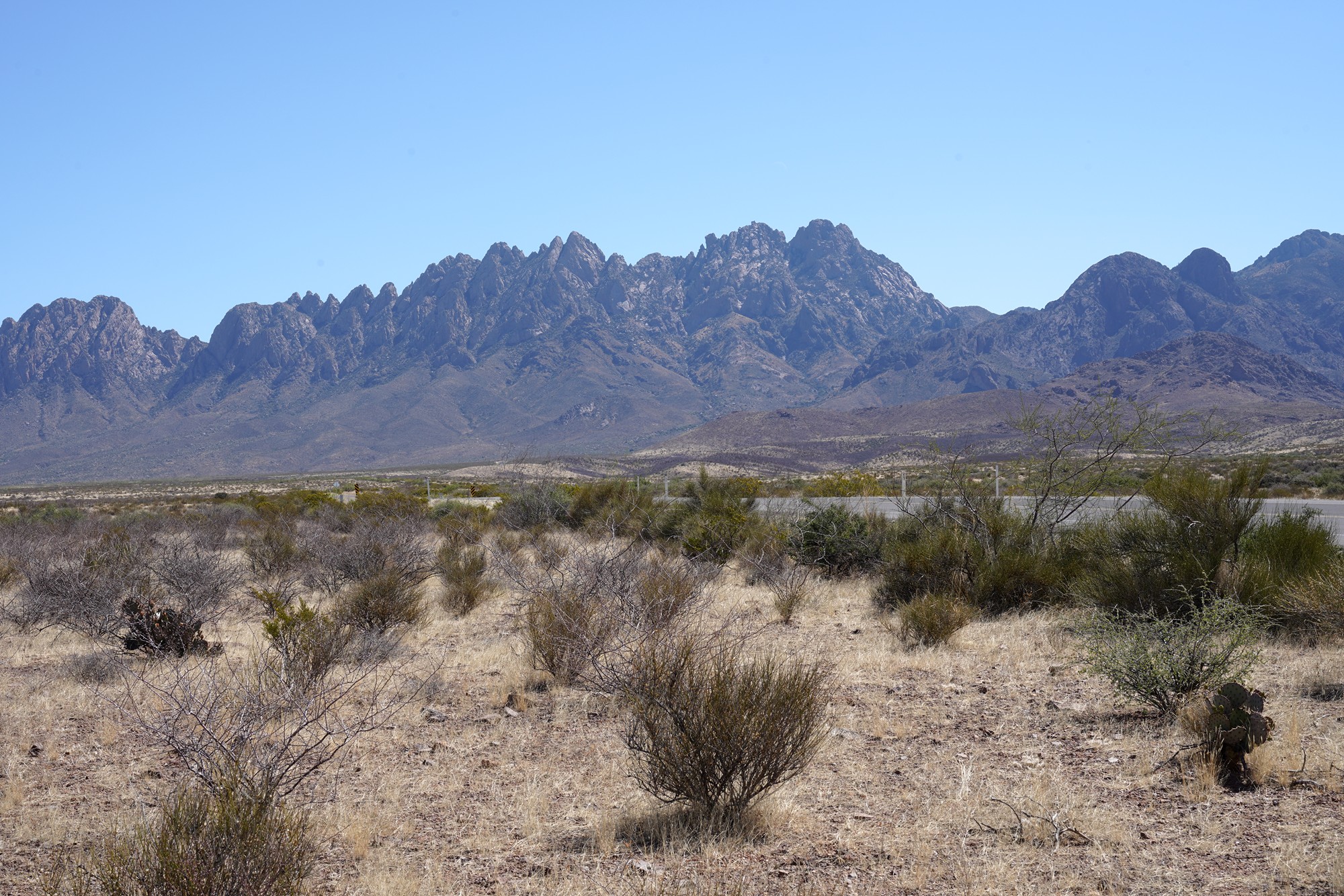 Organ Mountains Dripping Springs Natural Area (1)