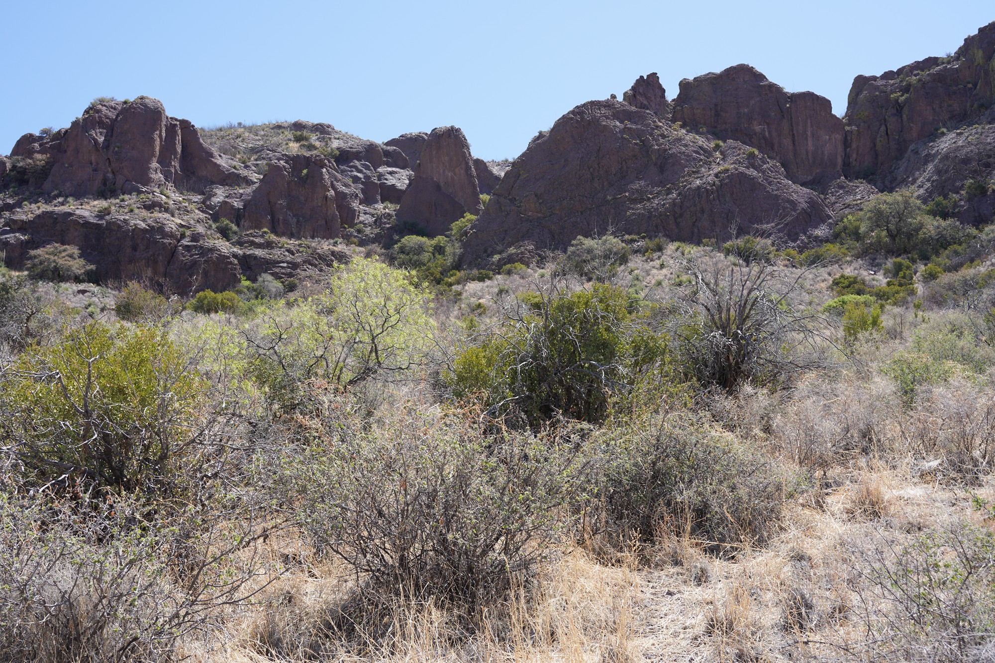 Organ Mountains Dripping Springs Natural Area (10)
