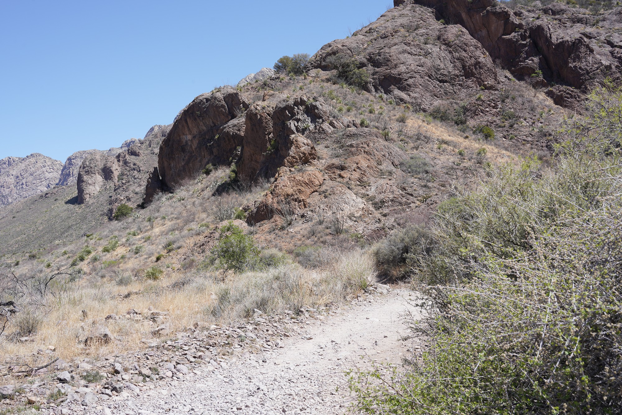 Organ Mountains Dripping Springs Natural Area (11)