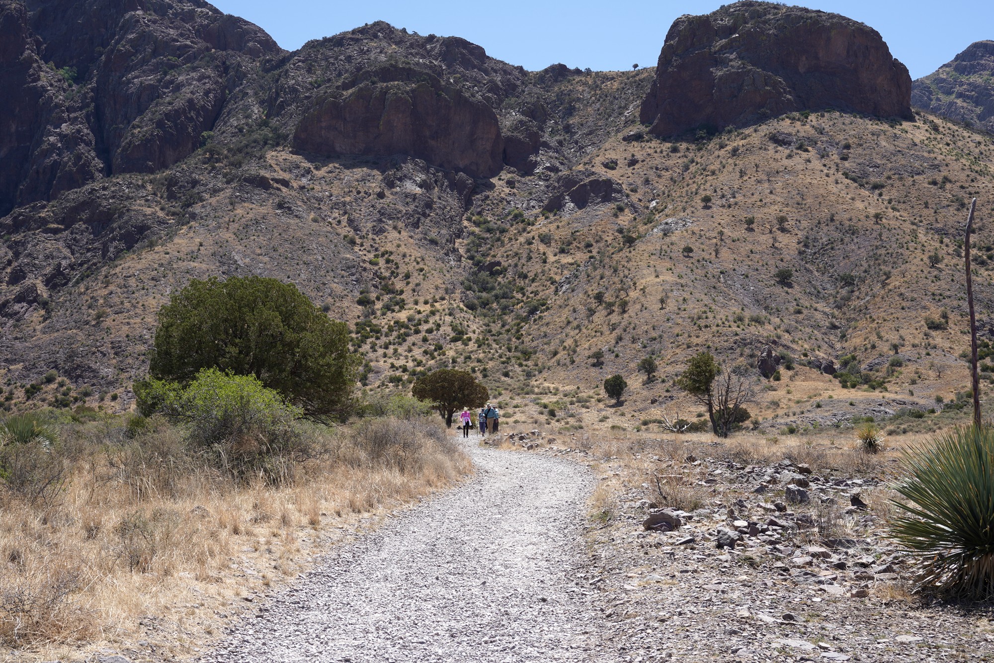 Organ Mountains Dripping Springs Natural Area (12)