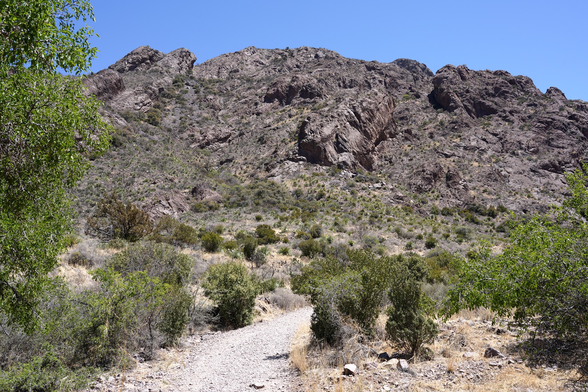 Organ Mountains Dripping Springs Natural Area (16)