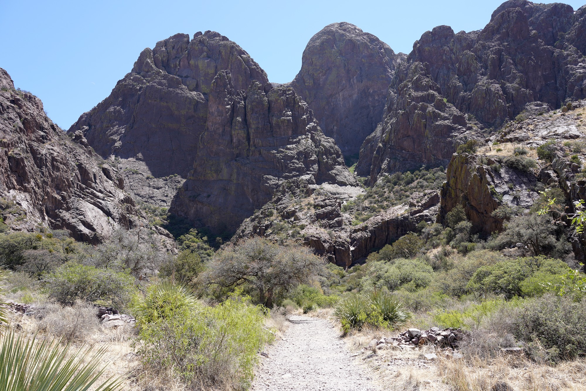 Organ Mountains Dripping Springs Natural Area (17)