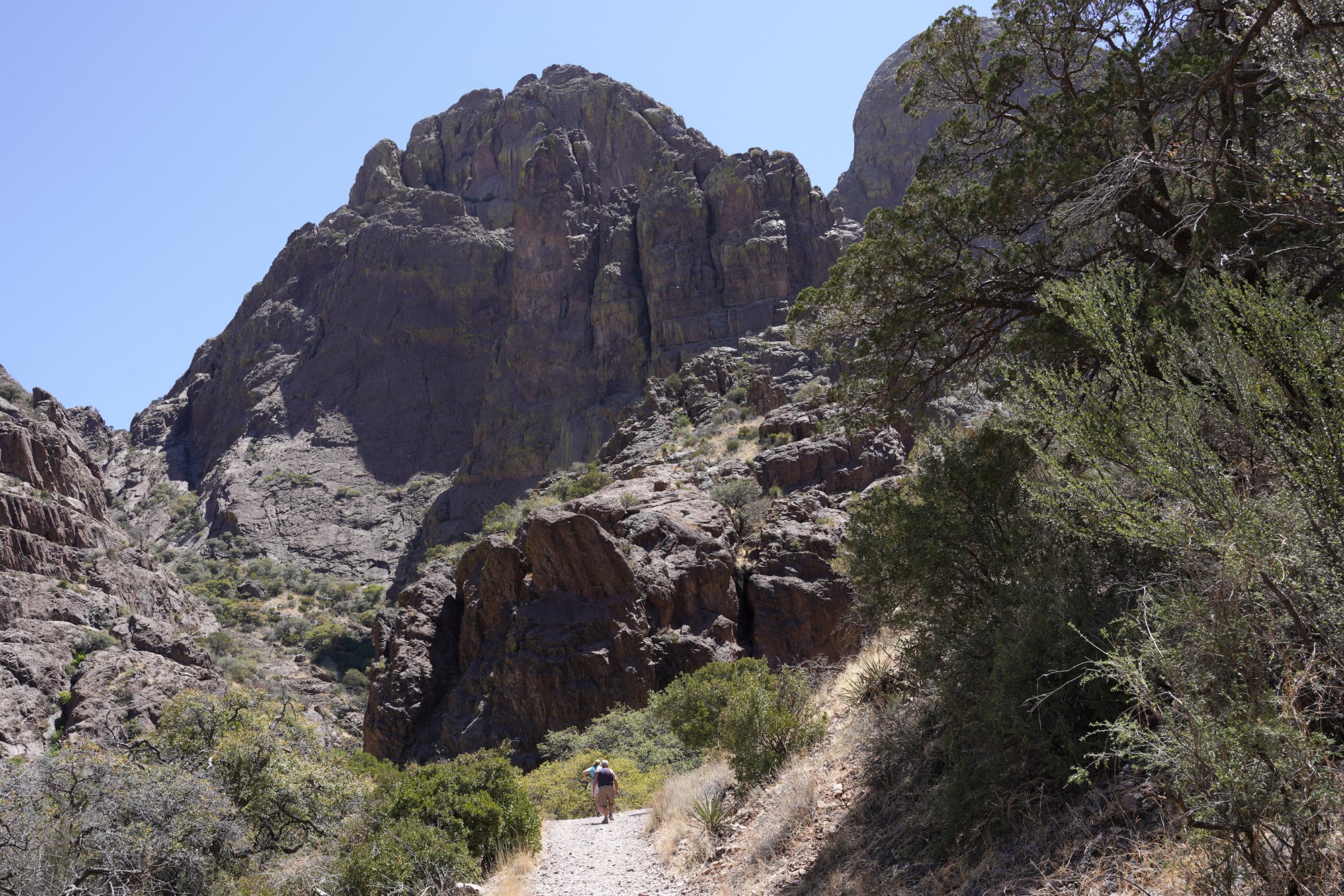 Organ Mountains Dripping Springs Natural Area (18)