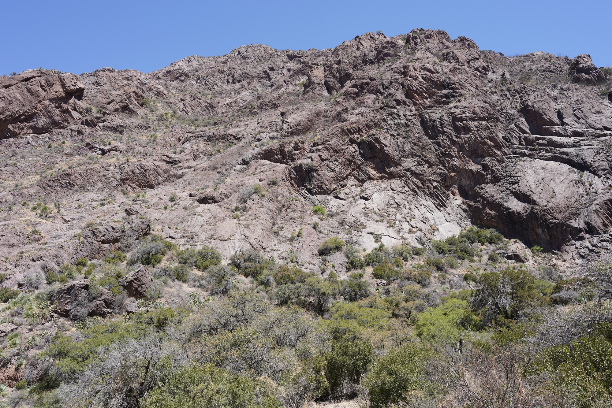 Organ Mountains Dripping Springs Natural Area (19)