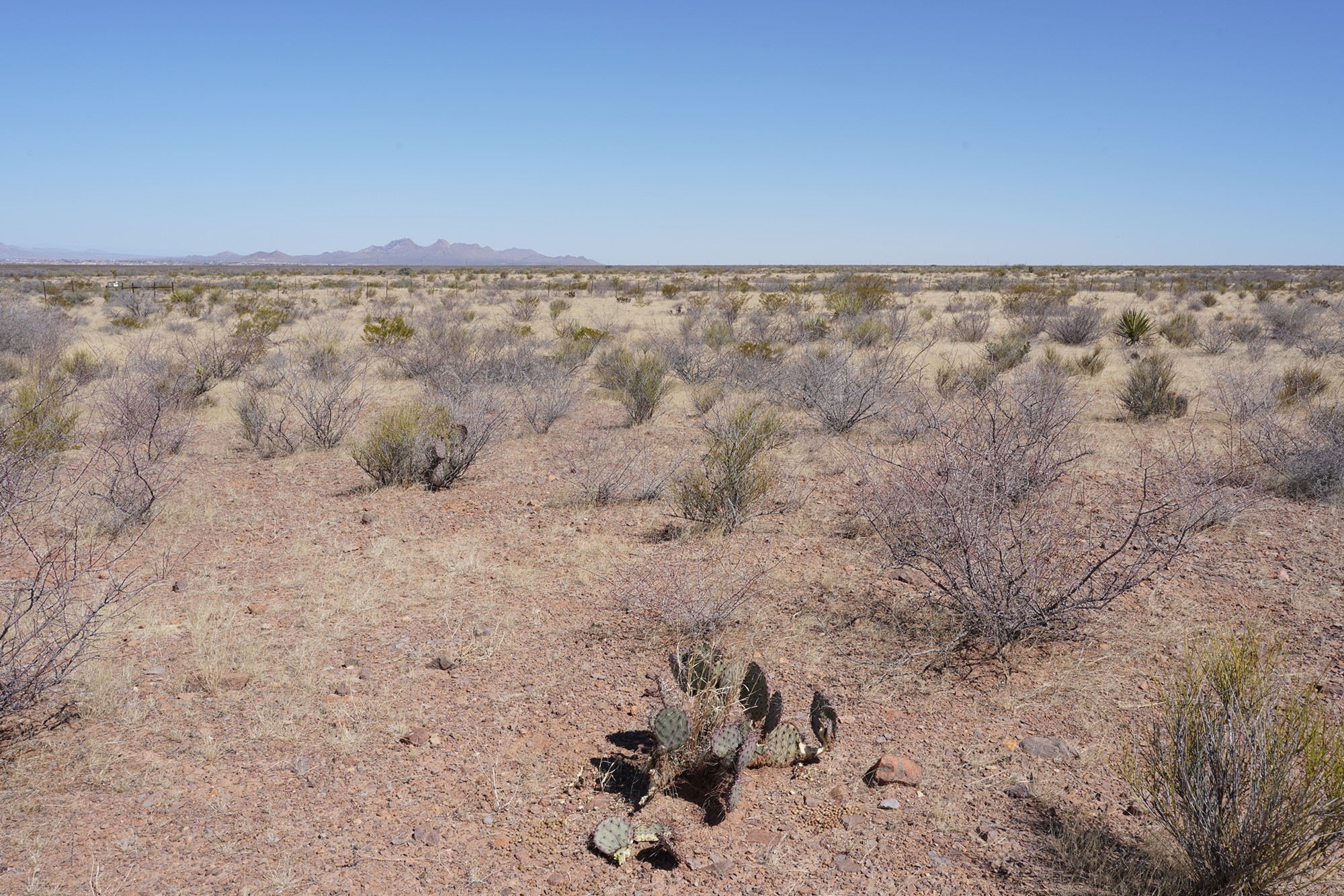 Organ Mountains Dripping Springs Natural Area (2)