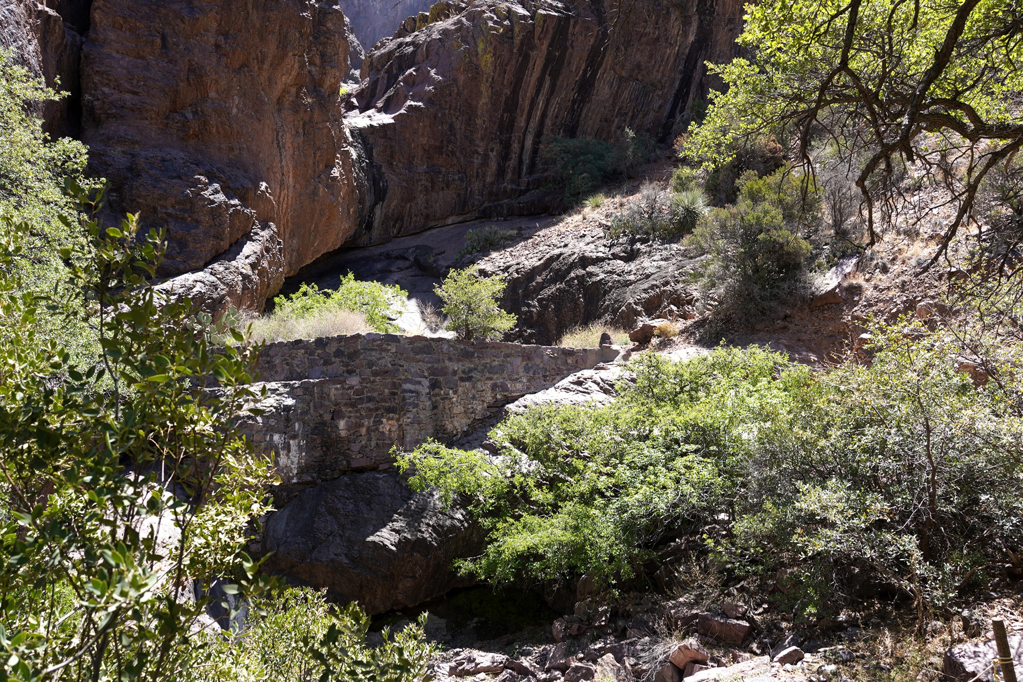 Organ Mountains Dripping Springs Natural Area (21)