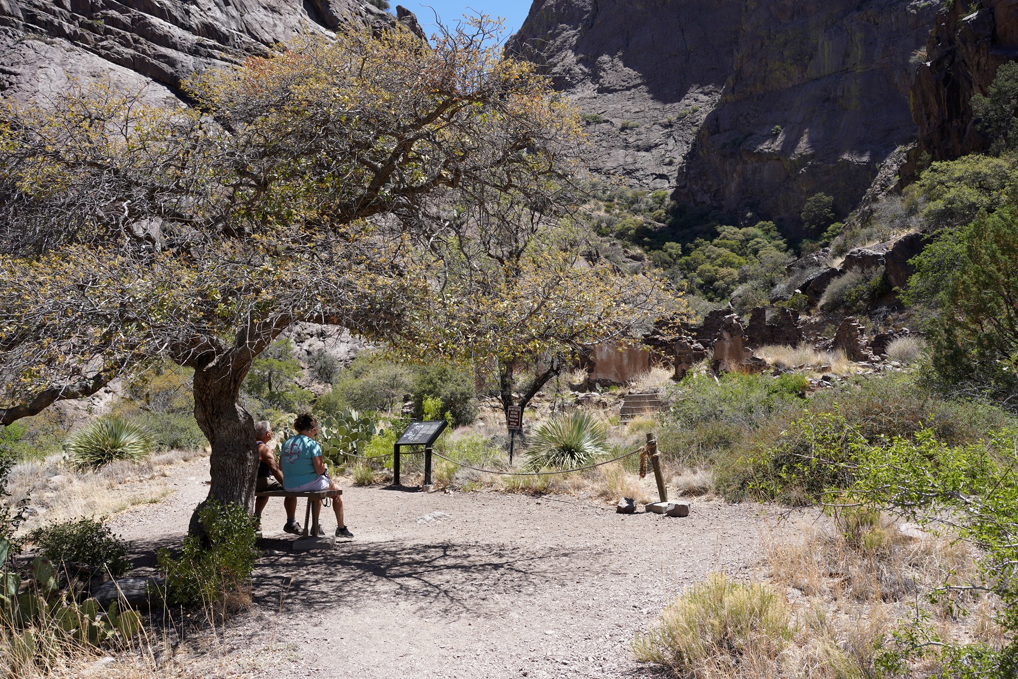 Organ Mountains Dripping Springs Natural Area (23)