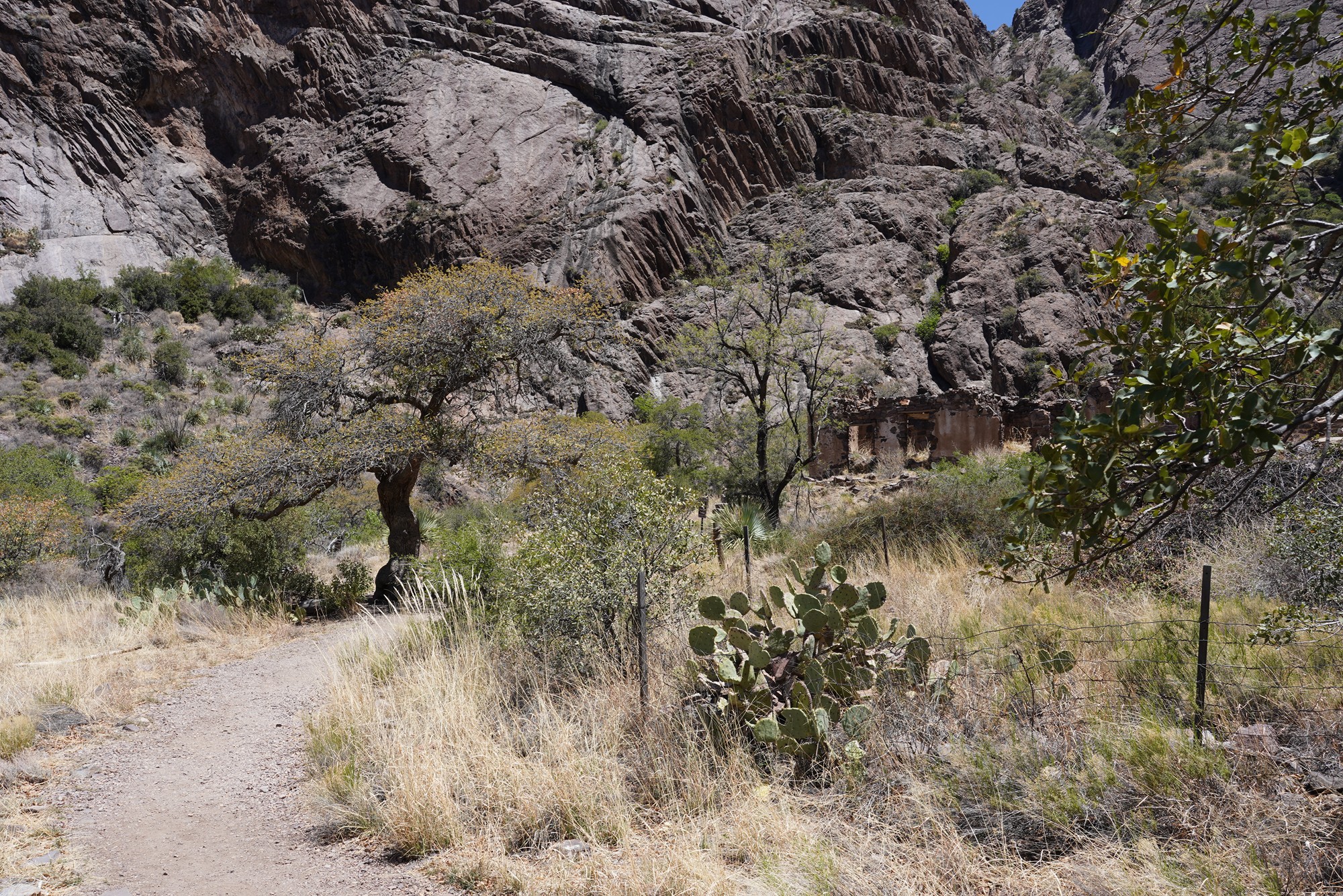 Organ Mountains Dripping Springs Natural Area (31)