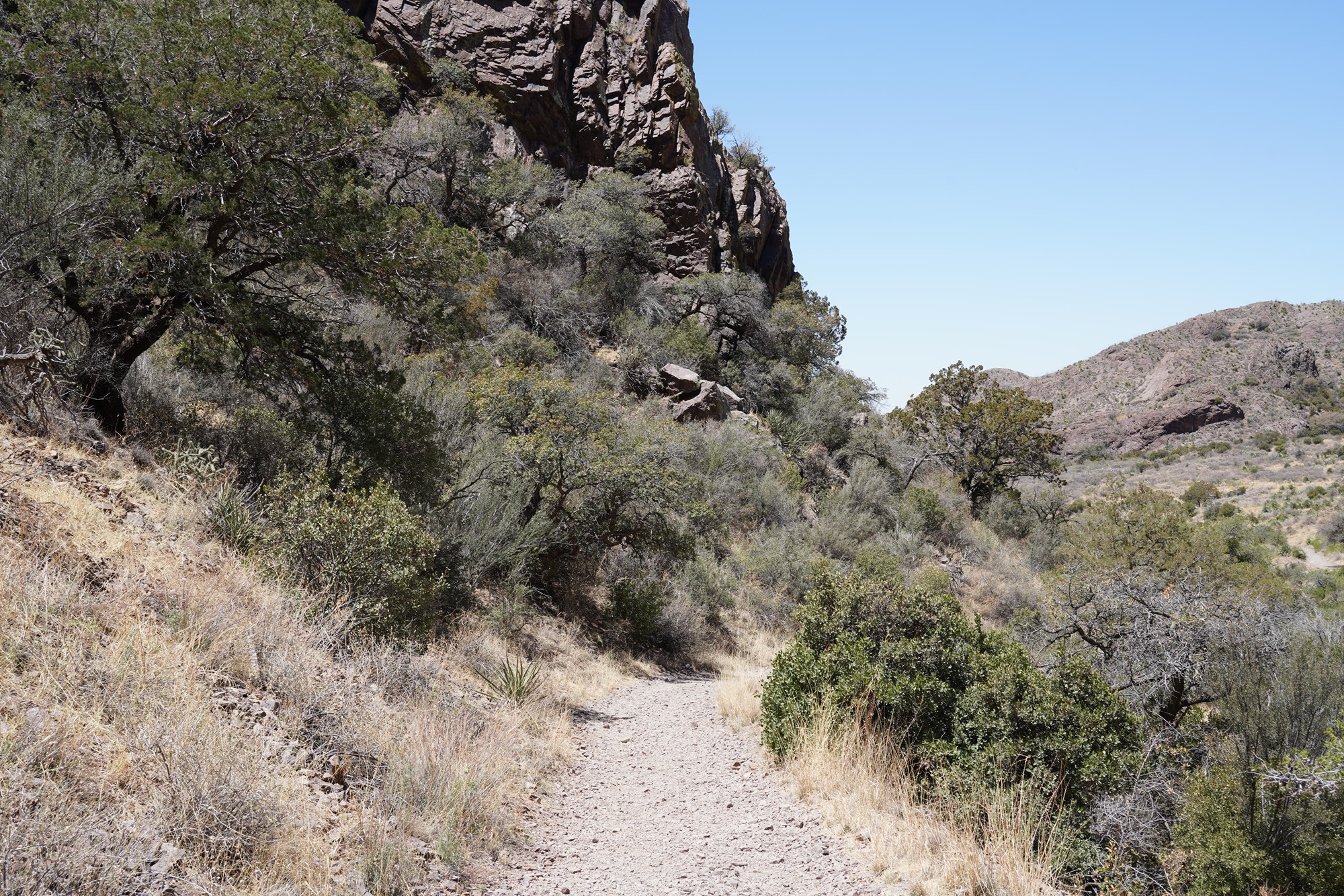 Organ Mountains Dripping Springs Natural Area (32)