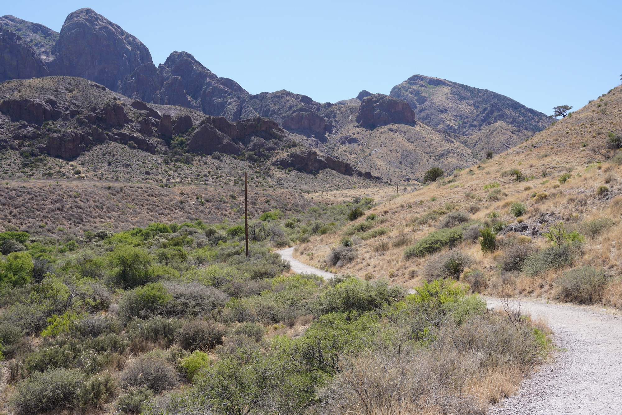 Organ Mountains Dripping Springs Natural Area (7)