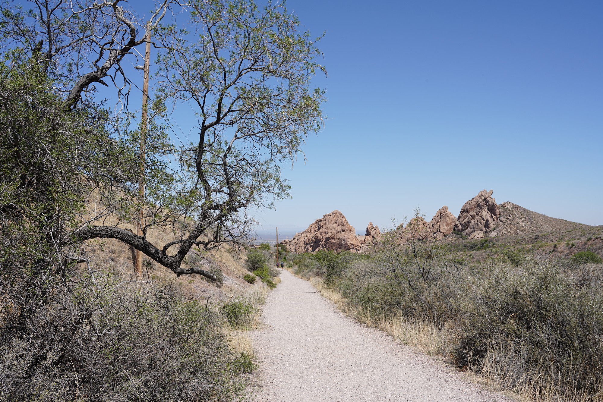 Organ Mountains Dripping Springs Natural Area (8)
