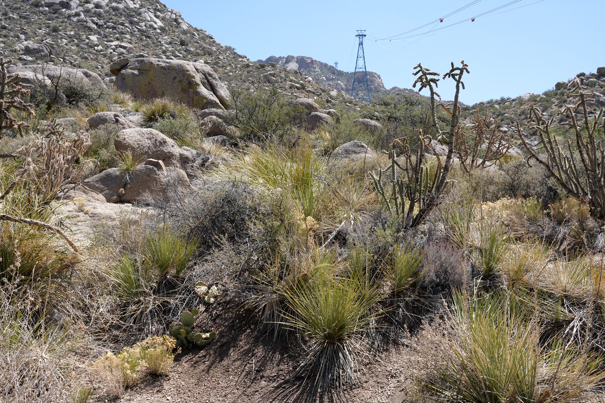 Sandia Peak Tramway (25)