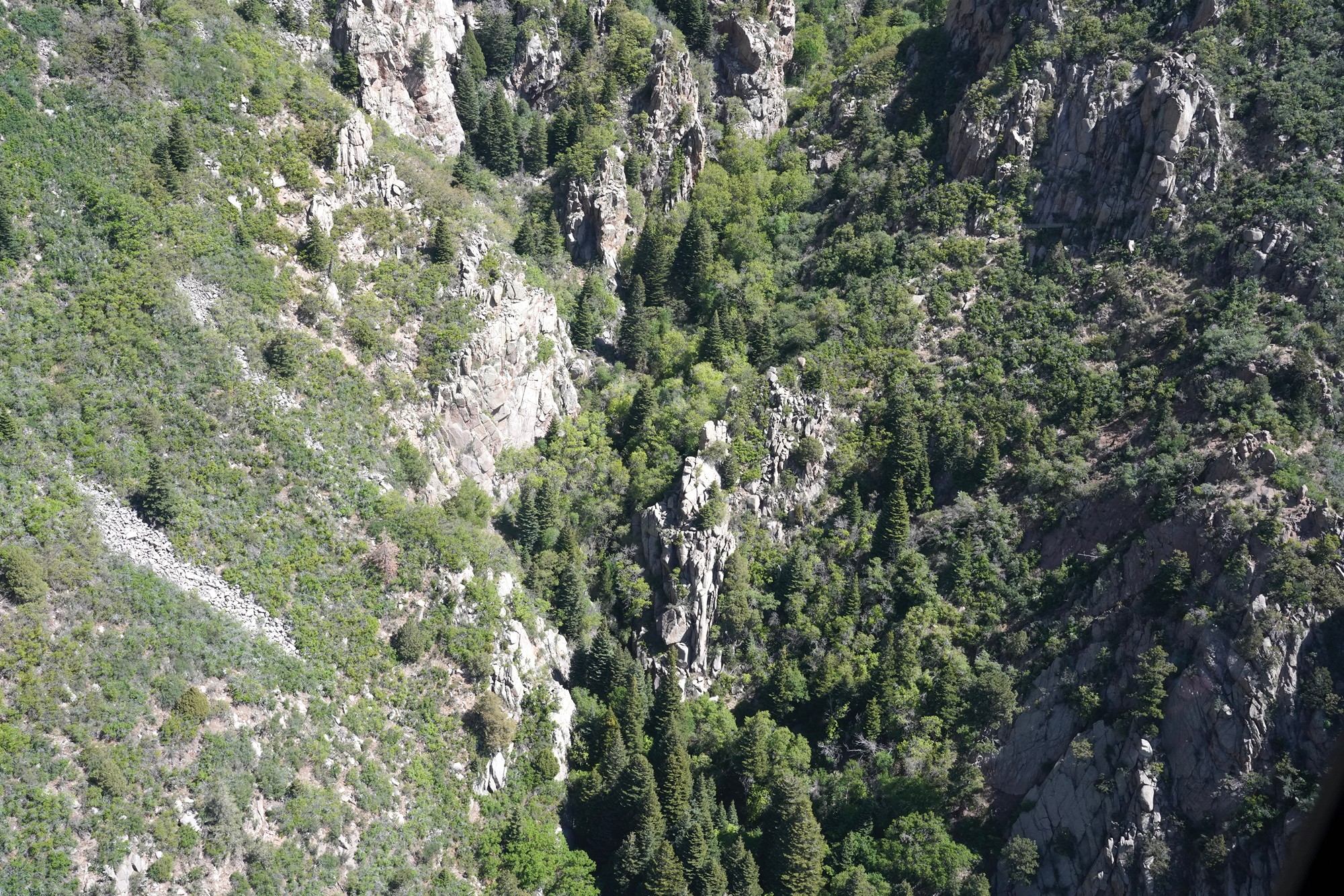 Sandia Peak Tramway (8)