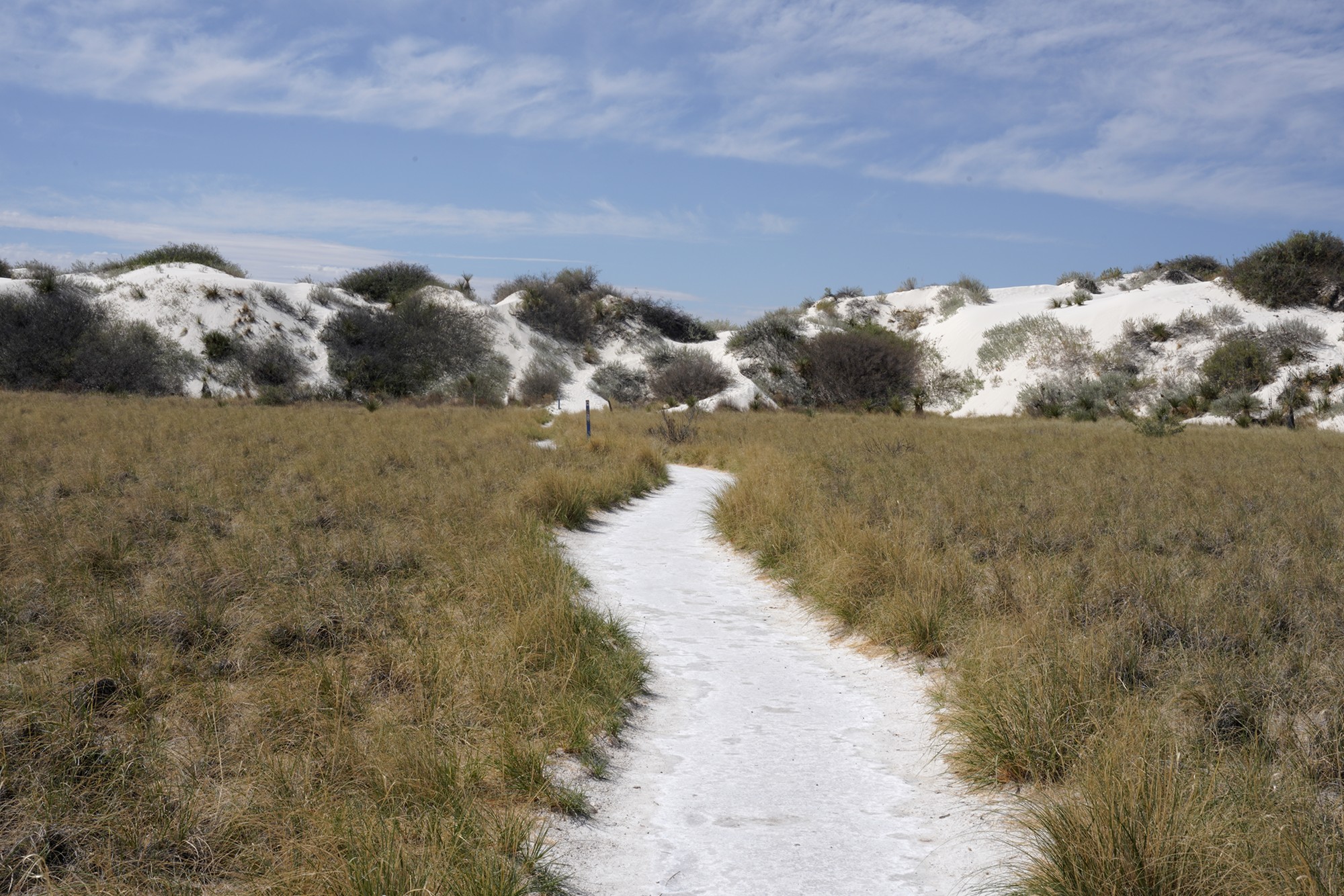 White Sand National Park (10)