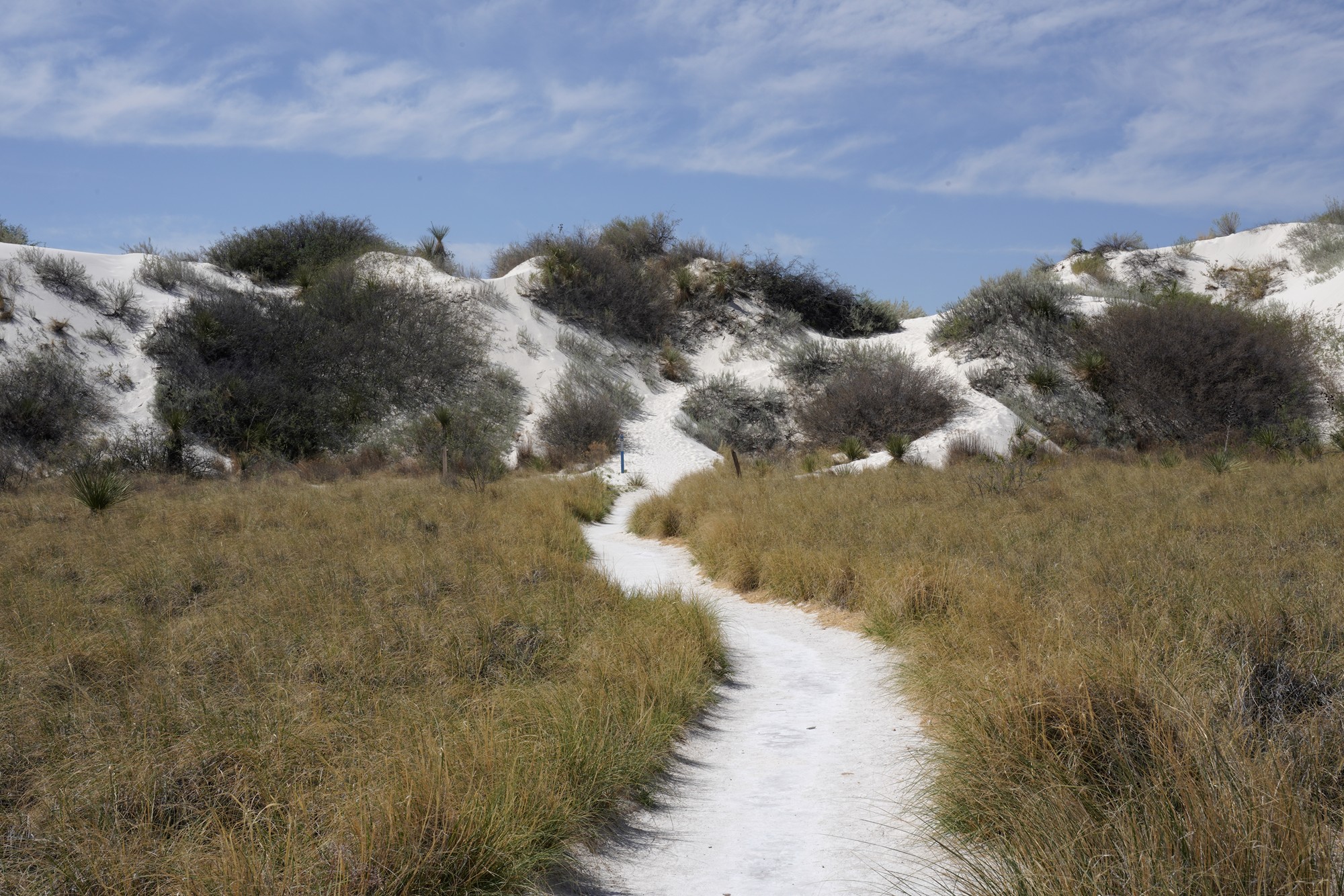 White Sand National Park (11)