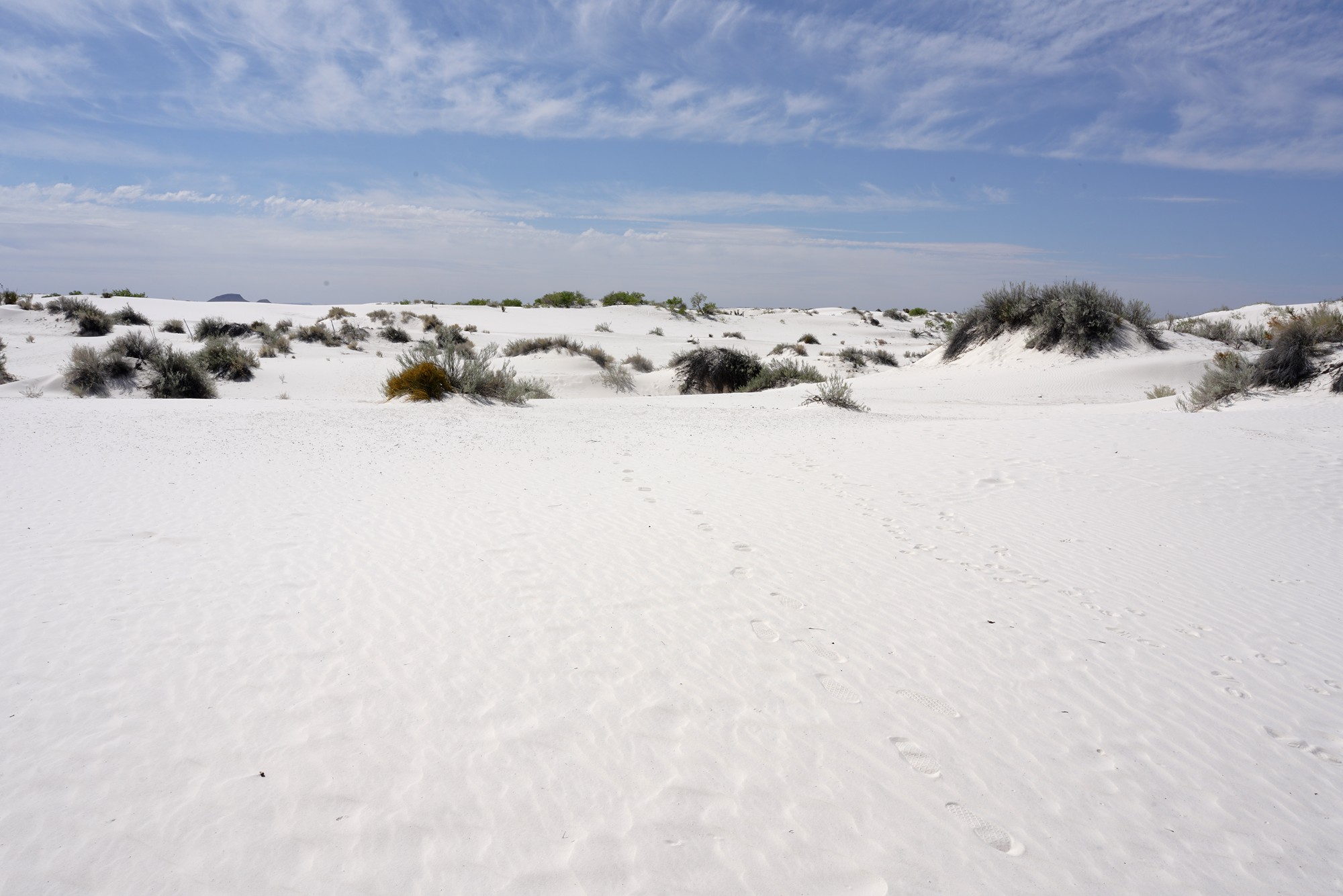 White Sand National Park (14)