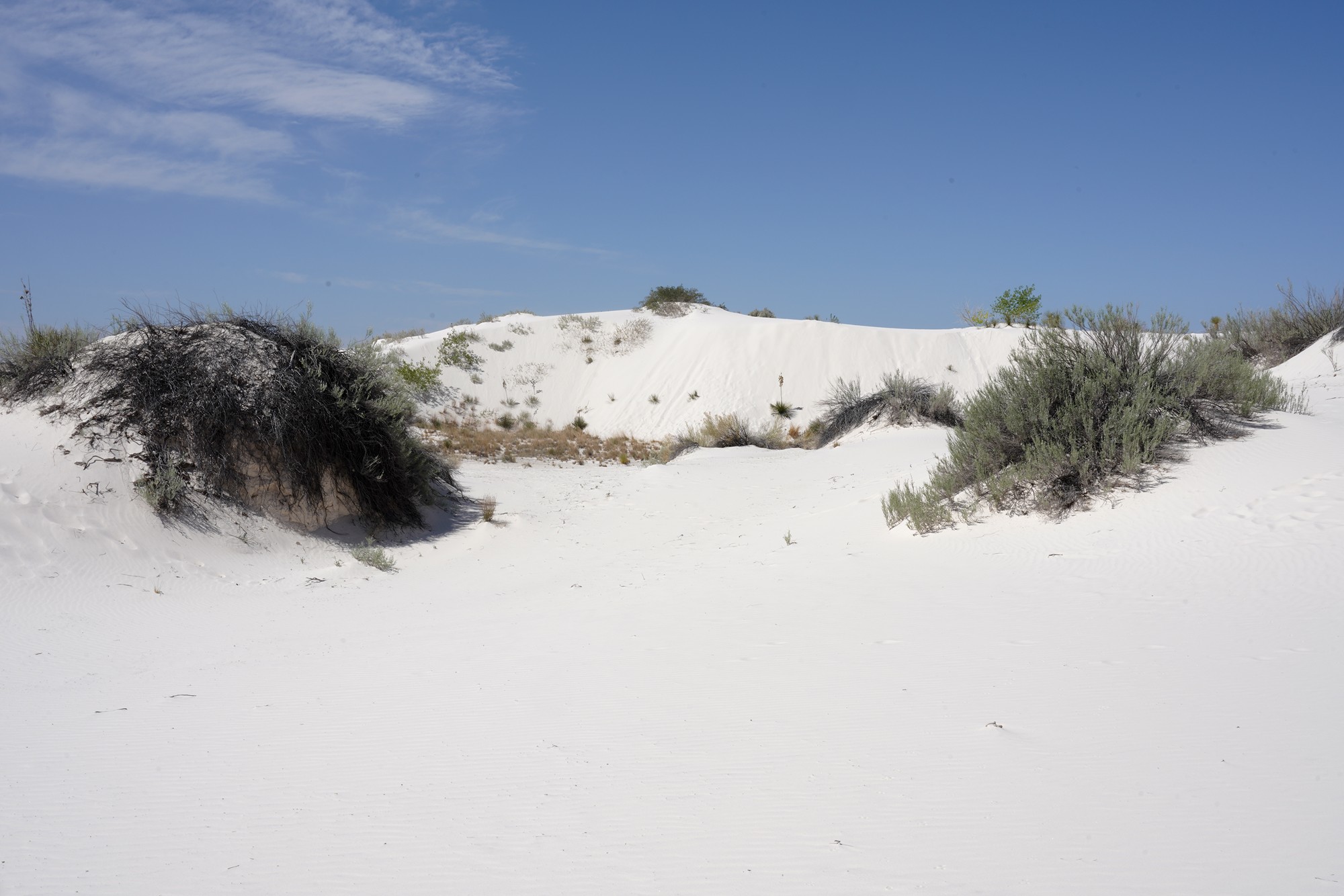 White Sand National Park (16)