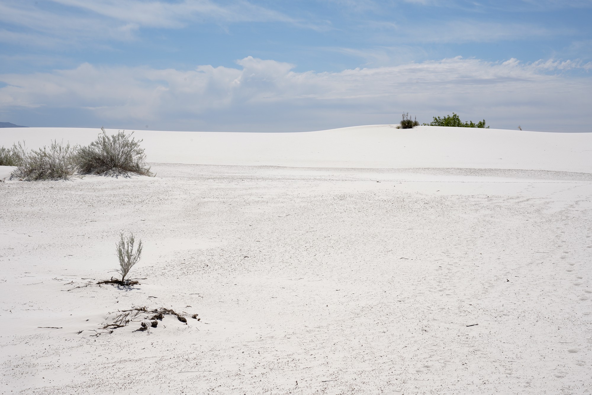 White Sand National Park (18)