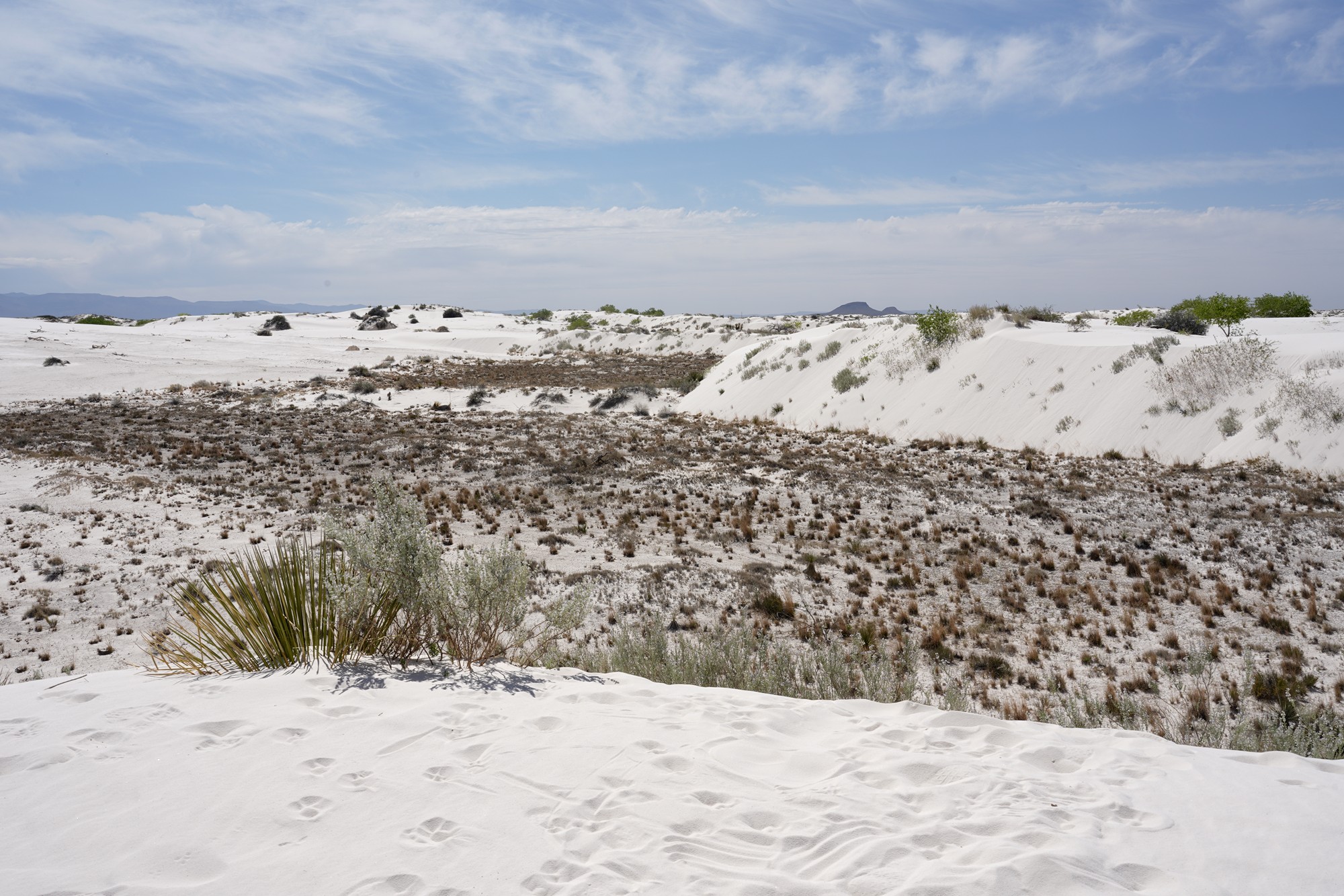 White Sand National Park (19)
