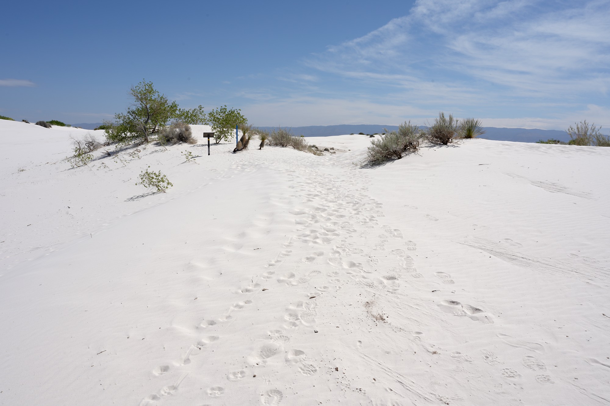 White Sand National Park (23)