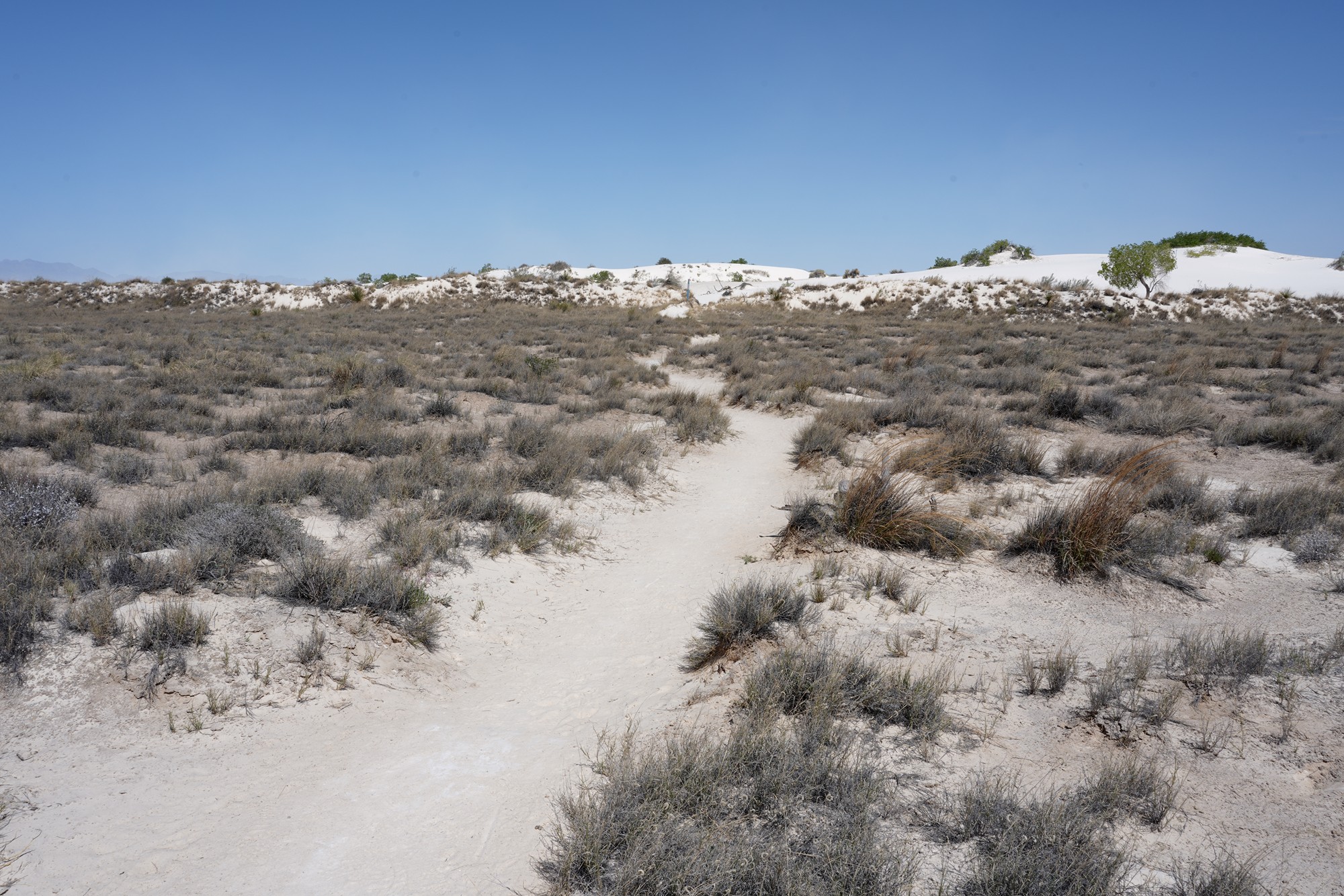 White Sand National Park (25)