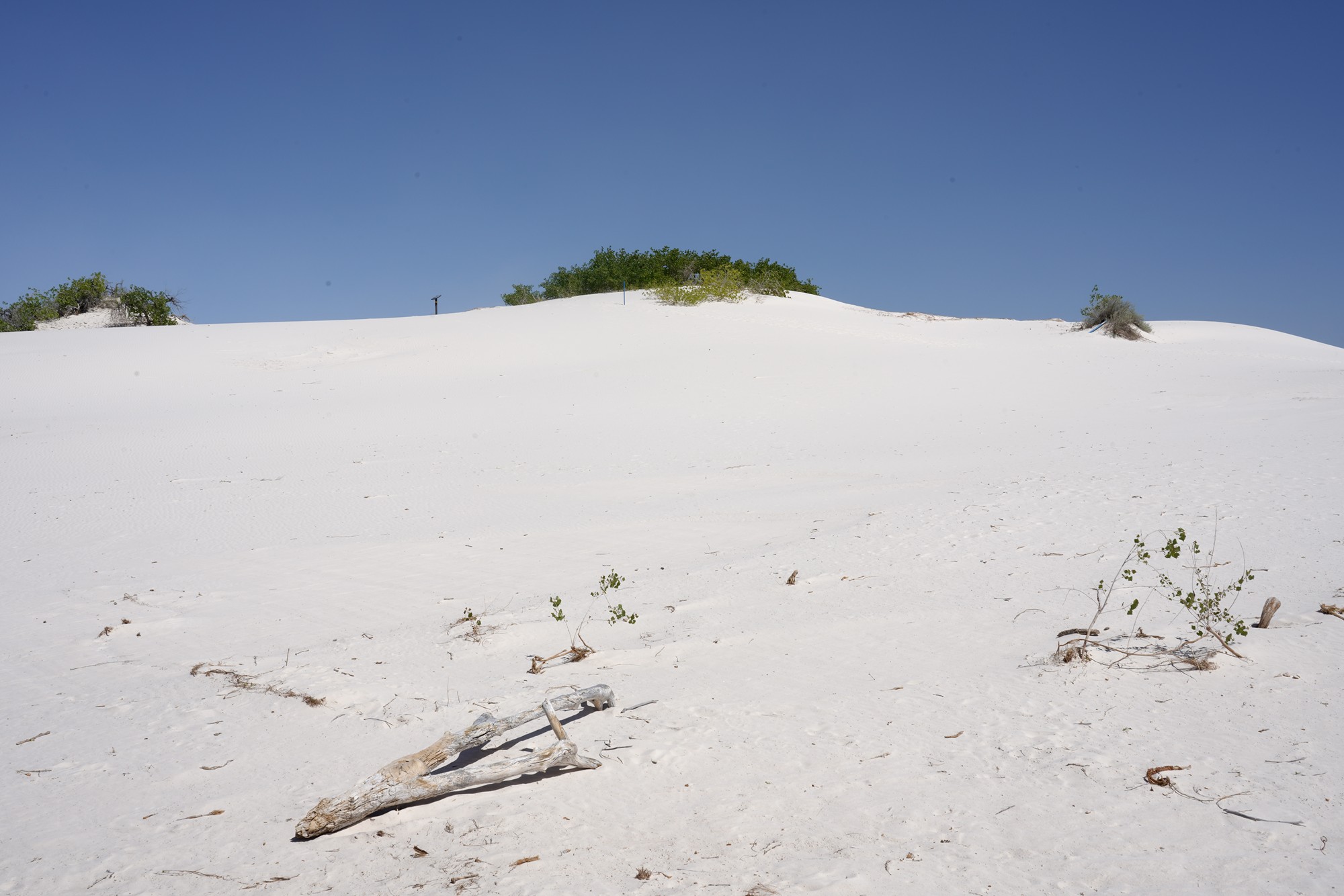 White Sand National Park (27)
