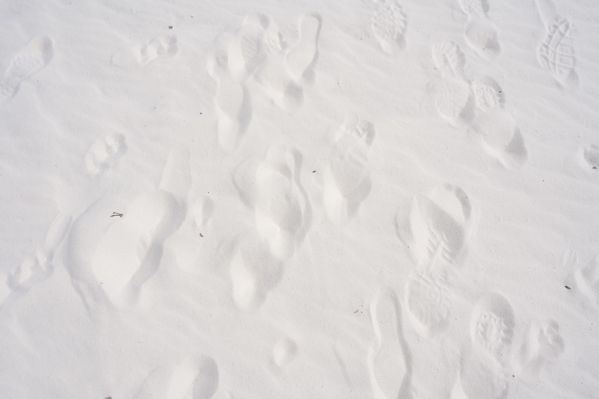 White Sand National Park (28)