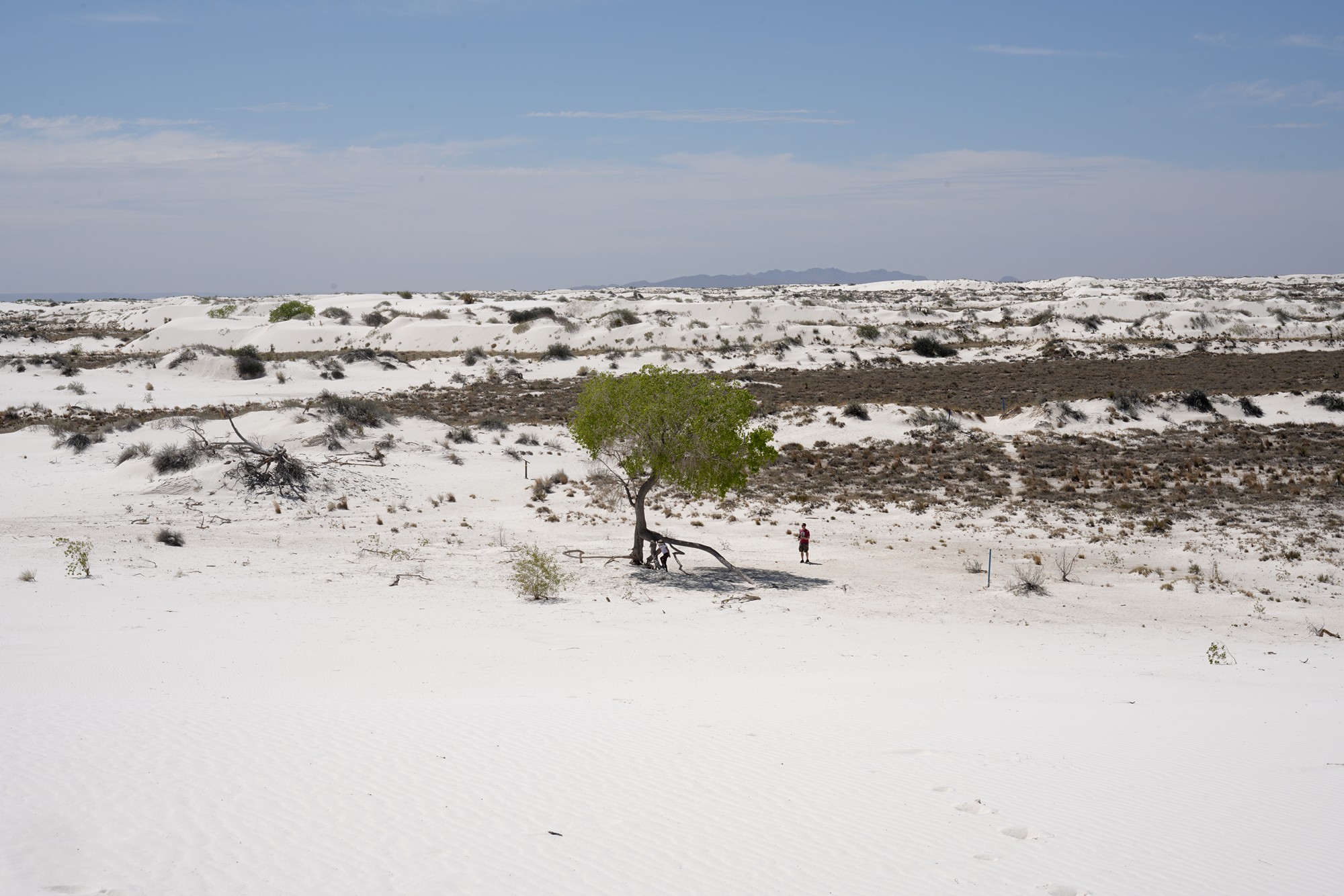 White Sand National Park (29)