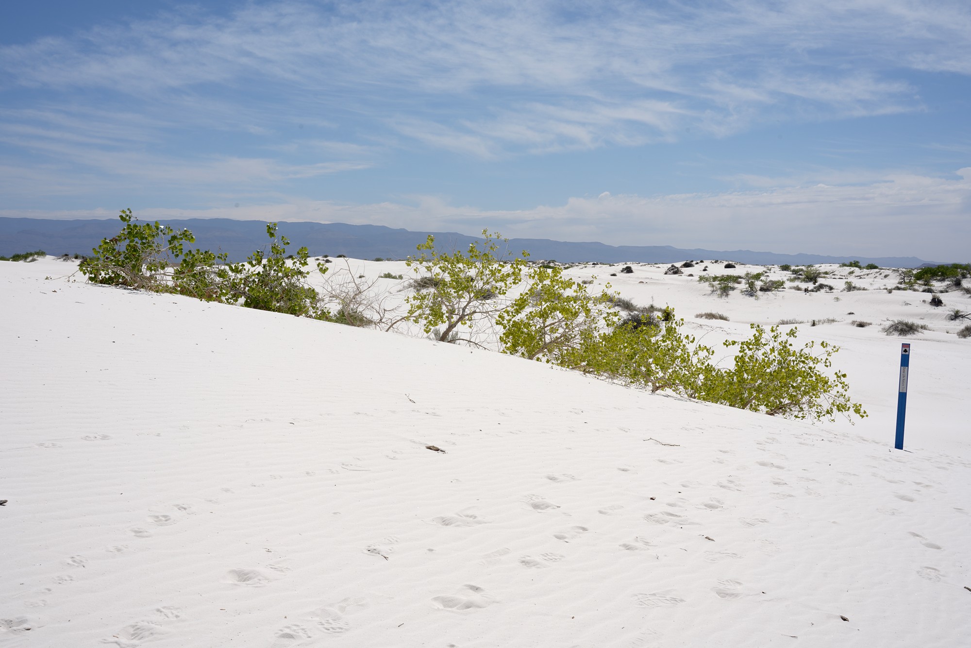 White Sand National Park (30)