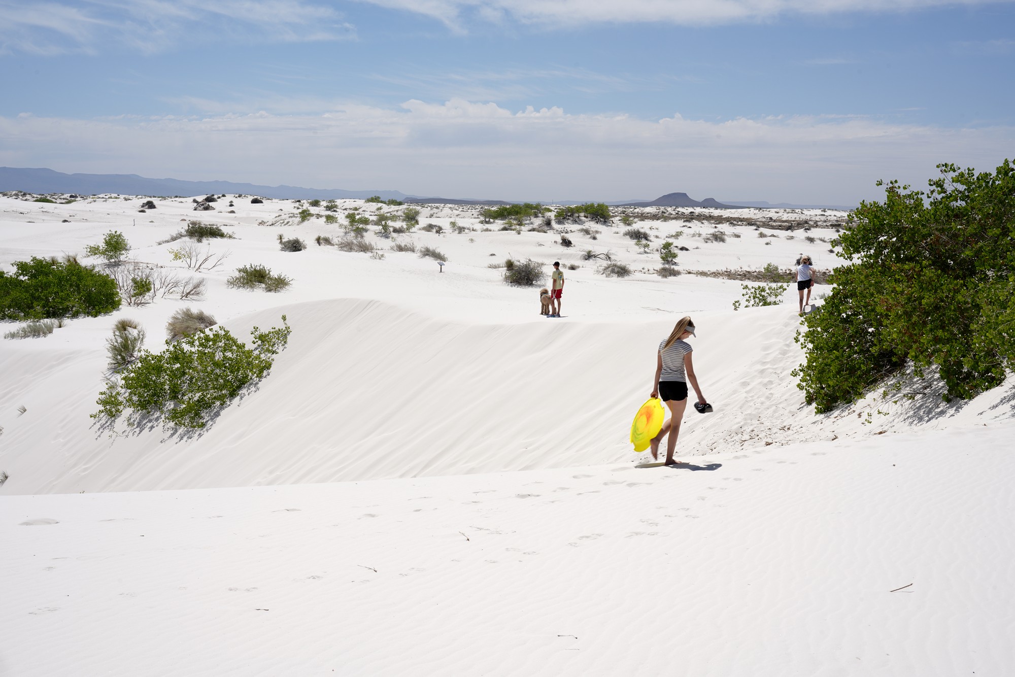 White Sand National Park (31)
