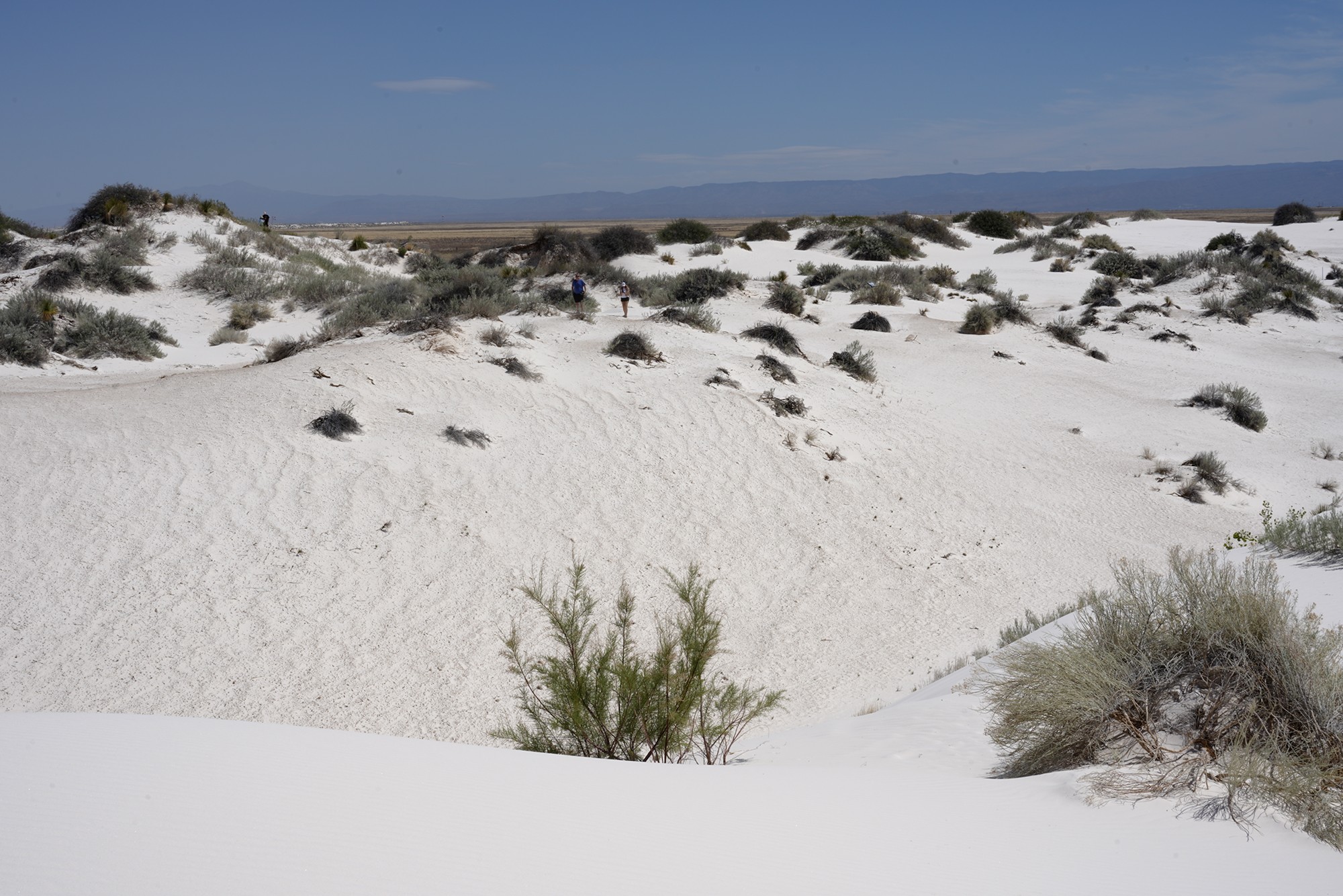 White Sand National Park (33)
