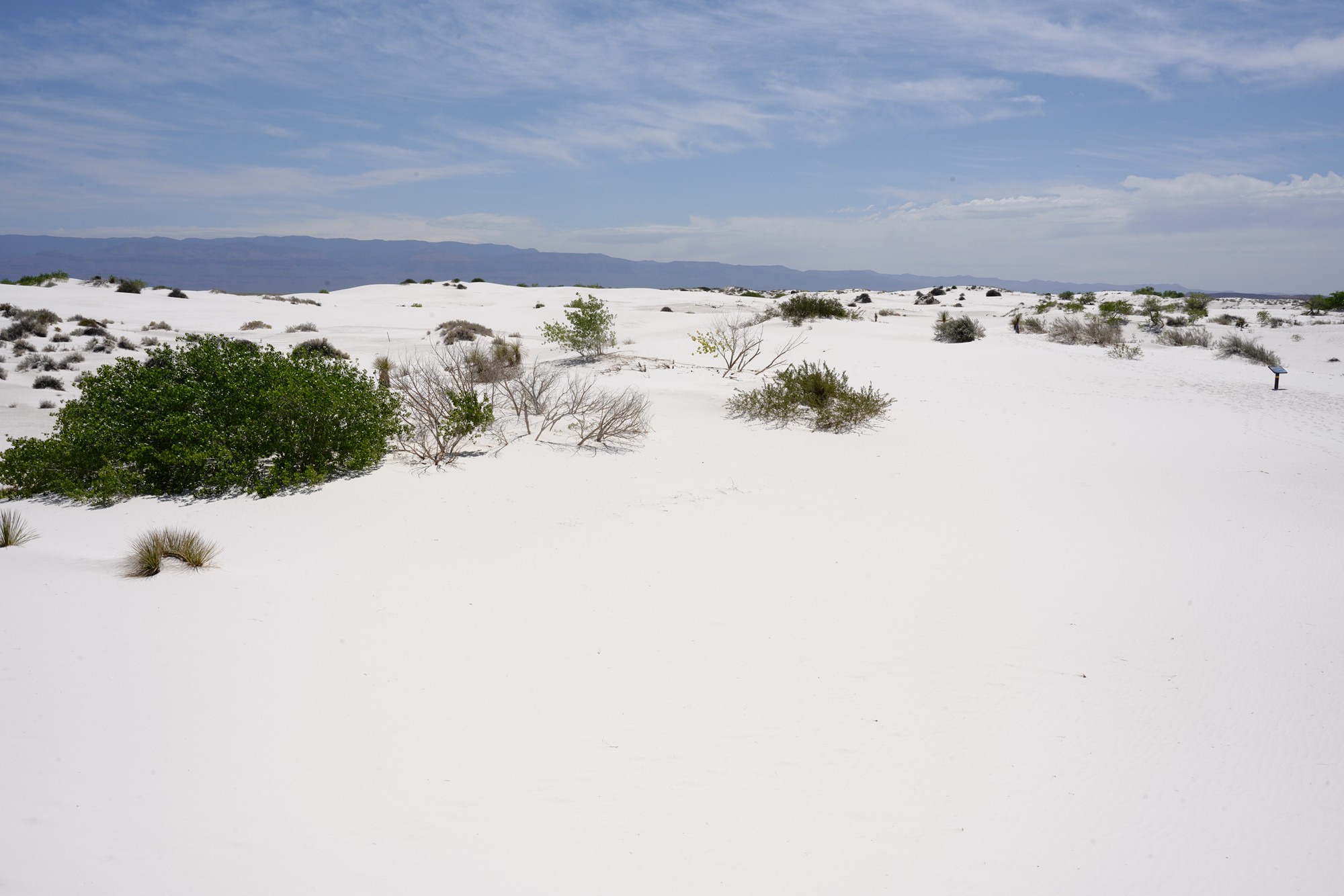 White Sand National Park (34)