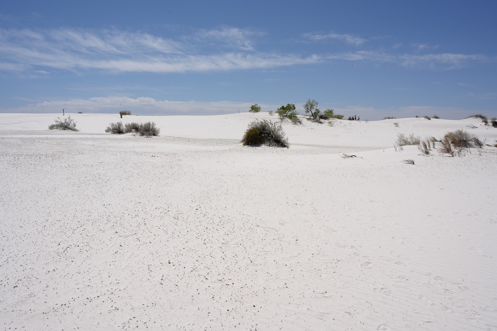 White Sand National Park (35)