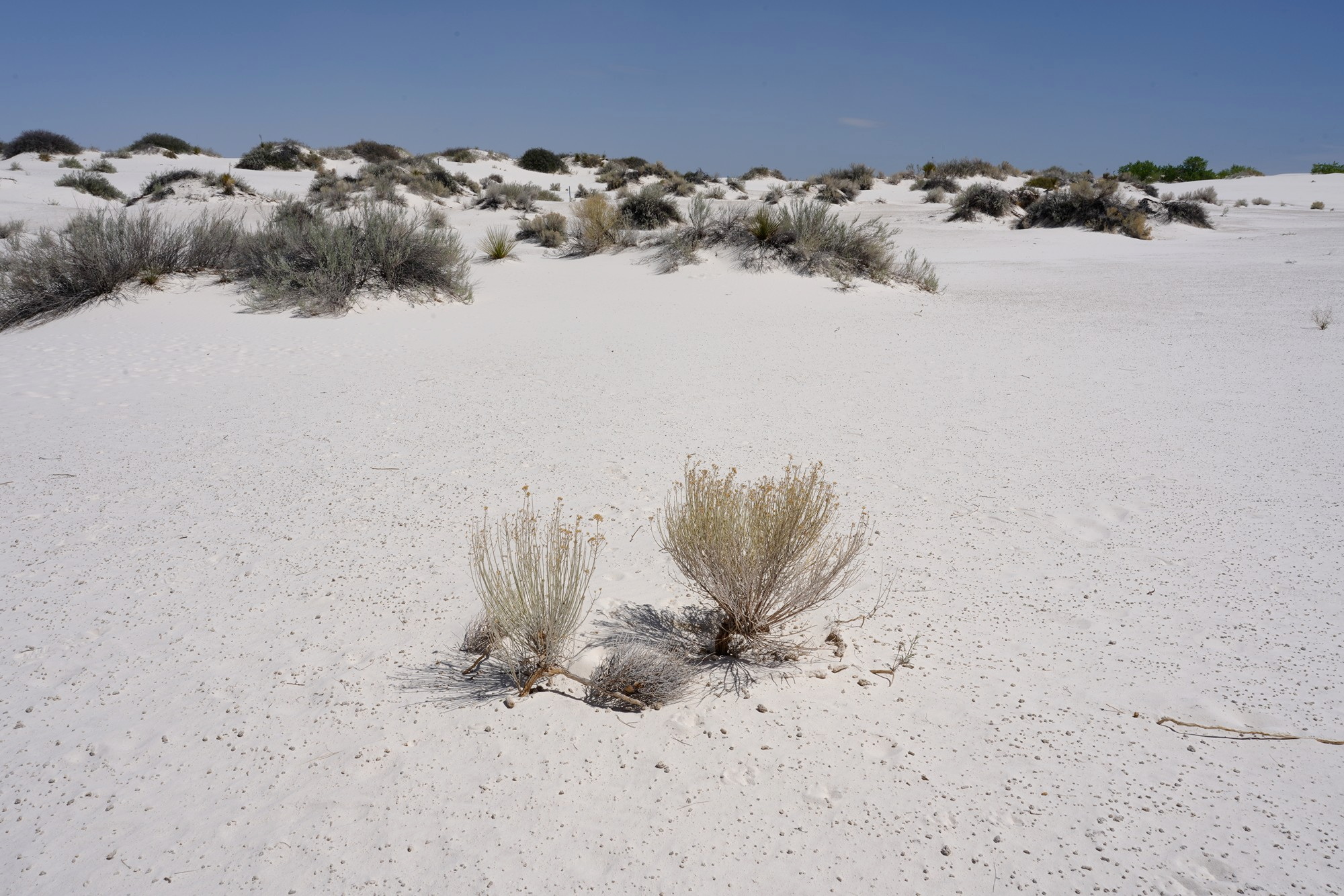White Sand National Park (36)