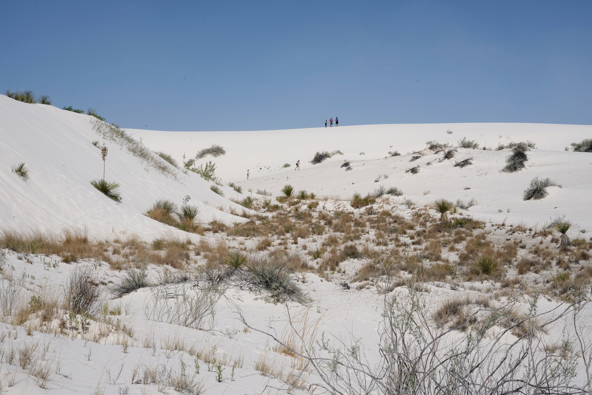 White Sand National Park (37)